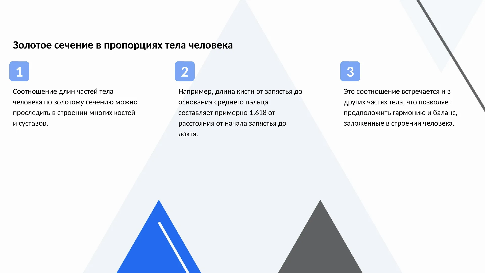 Золотое сечение в пропорциях тела человека - слайд для презентации на тему 