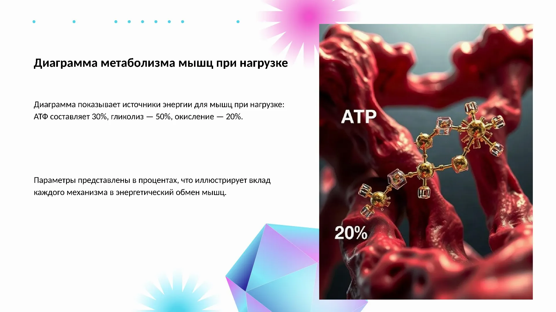 Диаграмма метаболизма мышц при нагрузке - слайд для презентации на тему 