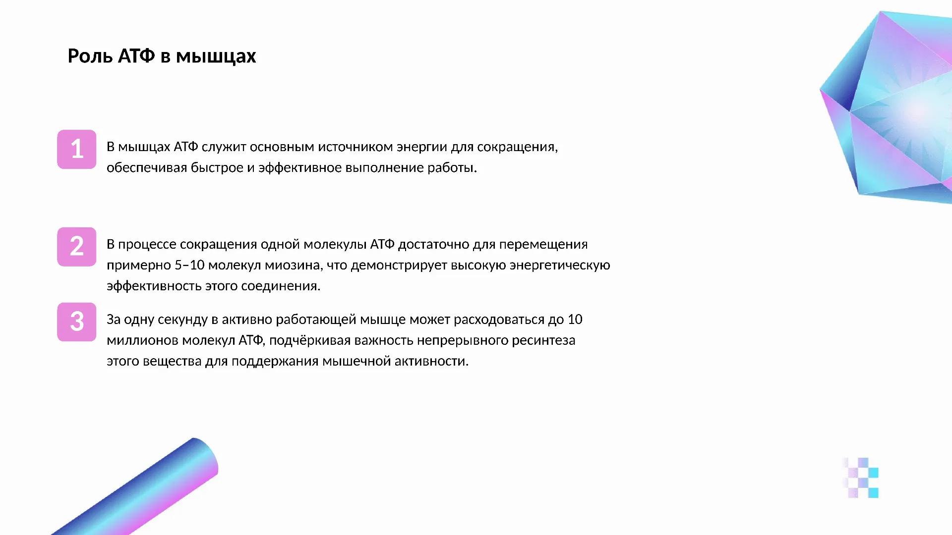 Роль АТФ в мышцах - слайд для презентации на тему 