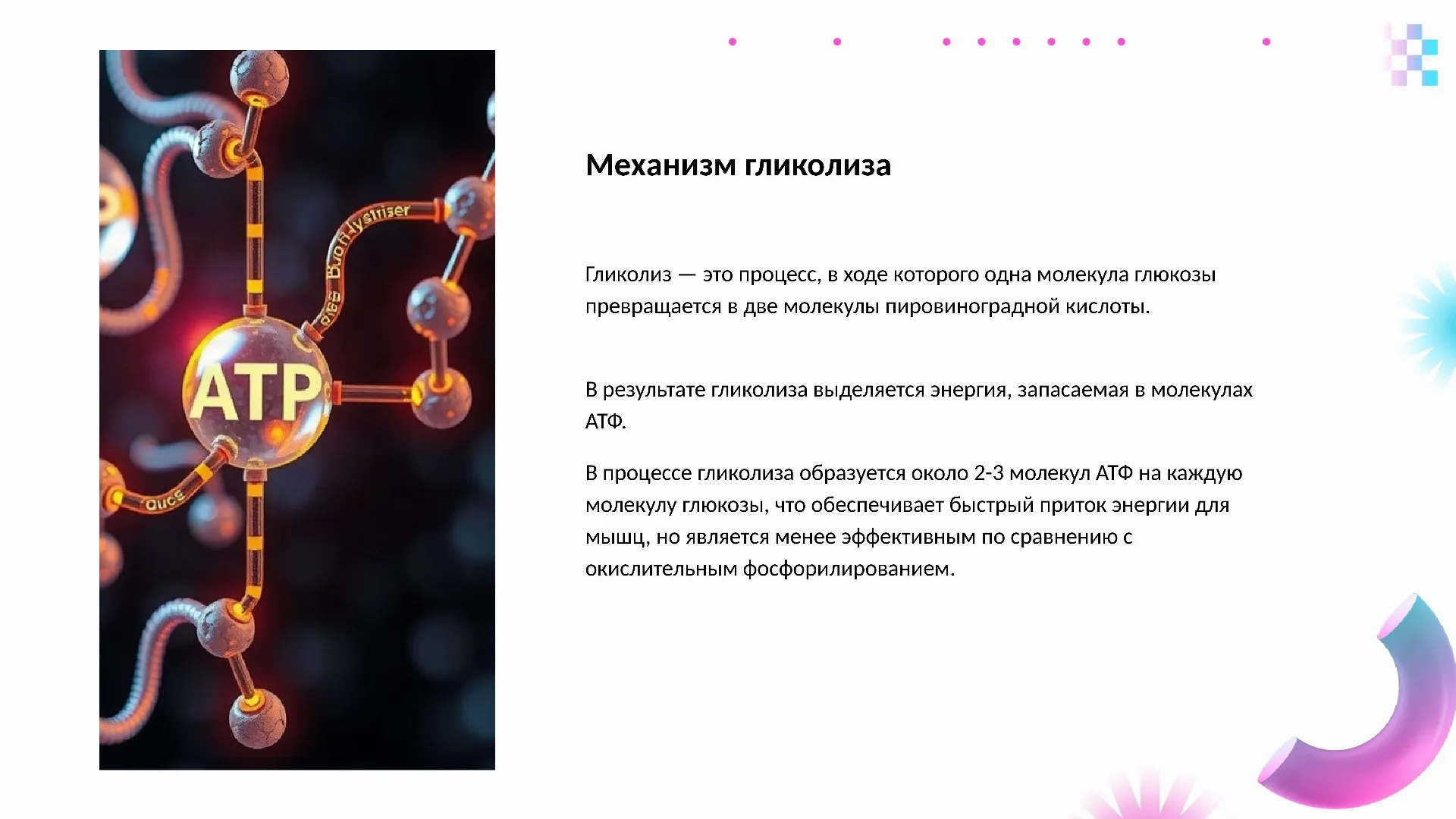 Механизм гликолиза - слайд для презентации на тему 
