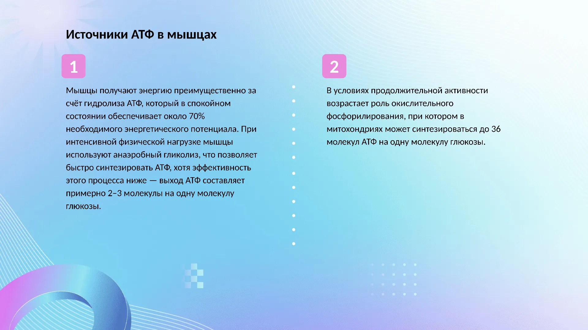 Источники АТФ в мышцах - слайд для презентации на тему 