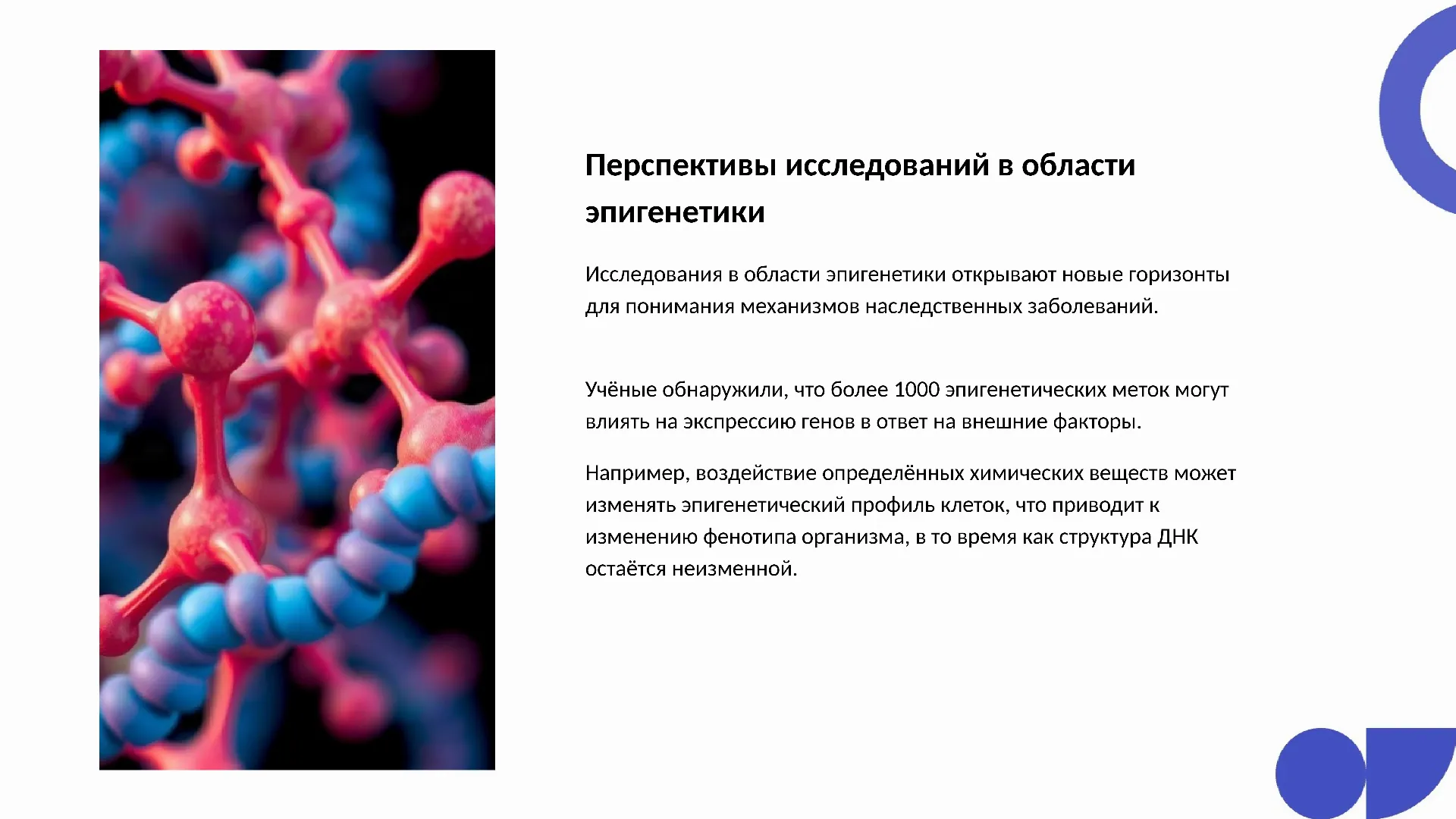 Перспективы исследований в области эпигенетики - слайд для презентации на тему 