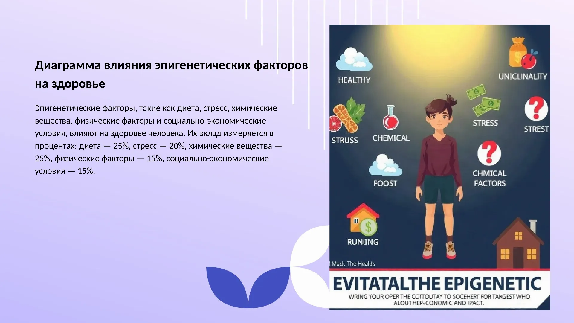 Диаграмма влияния эпигенетических факторов на здоровье - слайд для презентации на тему 