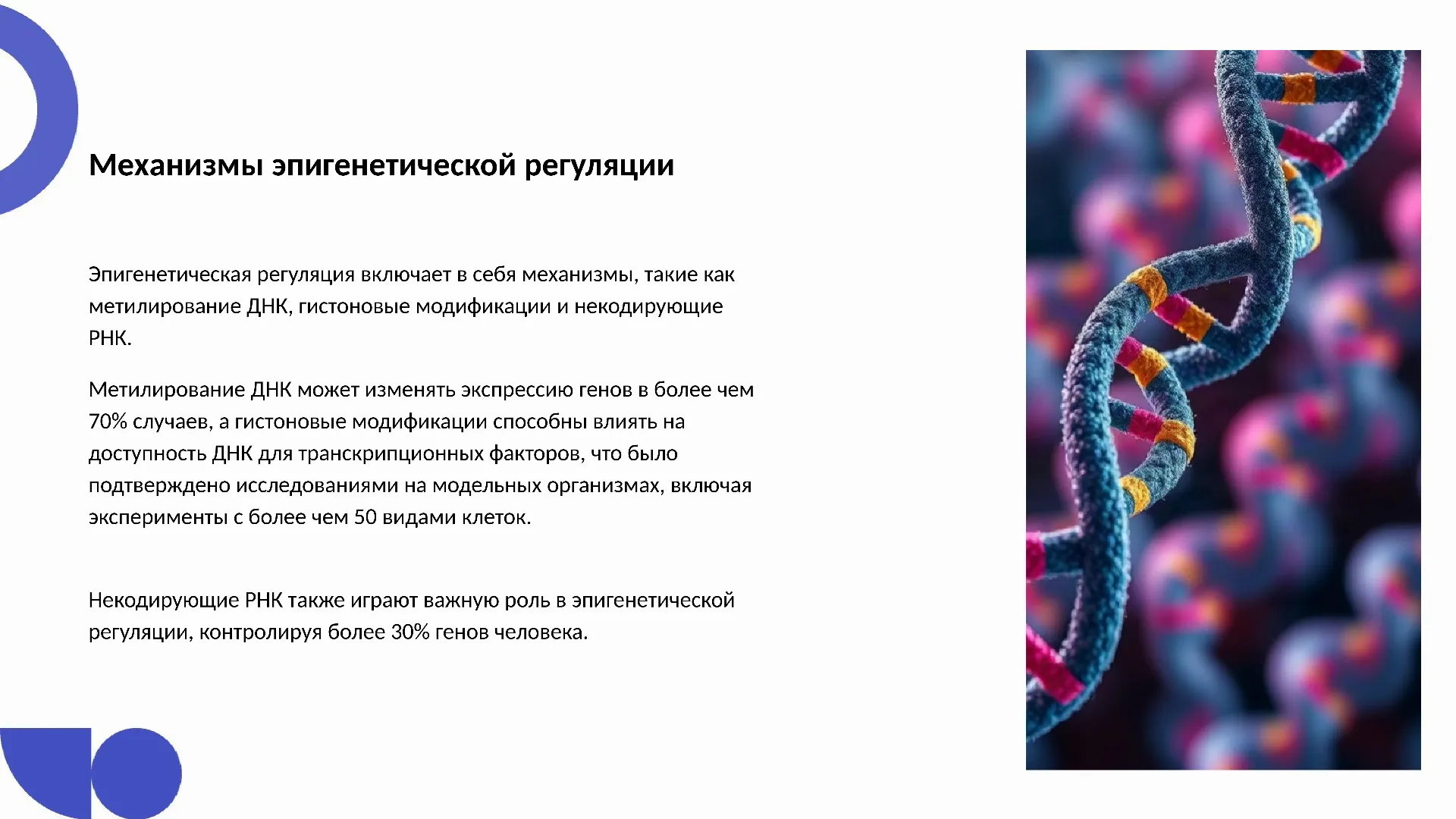 Механизмы эпигенетической регуляции - слайд для презентации на тему 