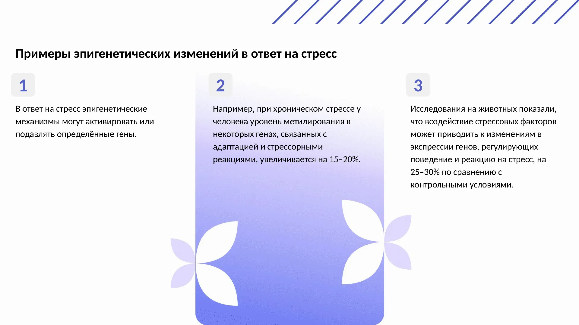 Примеры эпигенетических изменений в ответ на стресс - слайд для презентации на тему 