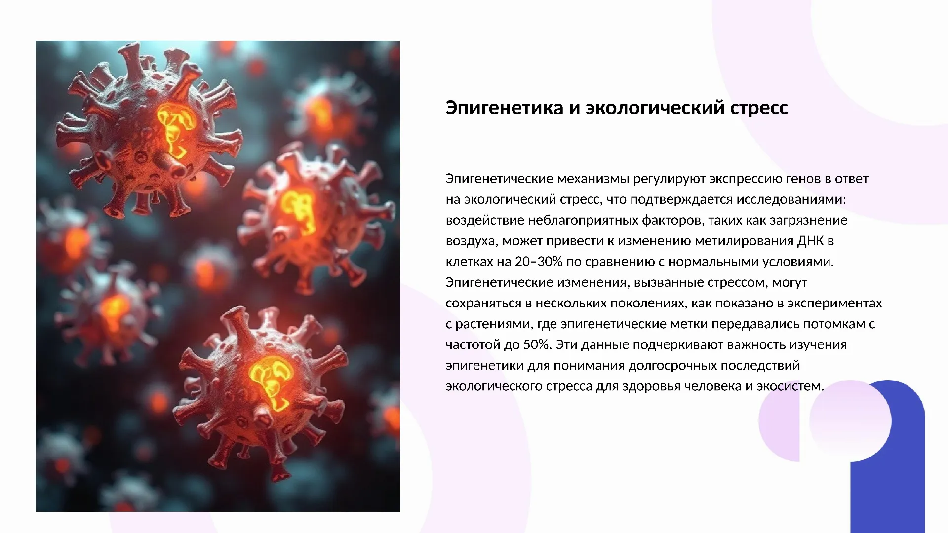 Эпигенетика и экологический стресс - слайд для презентации на тему 