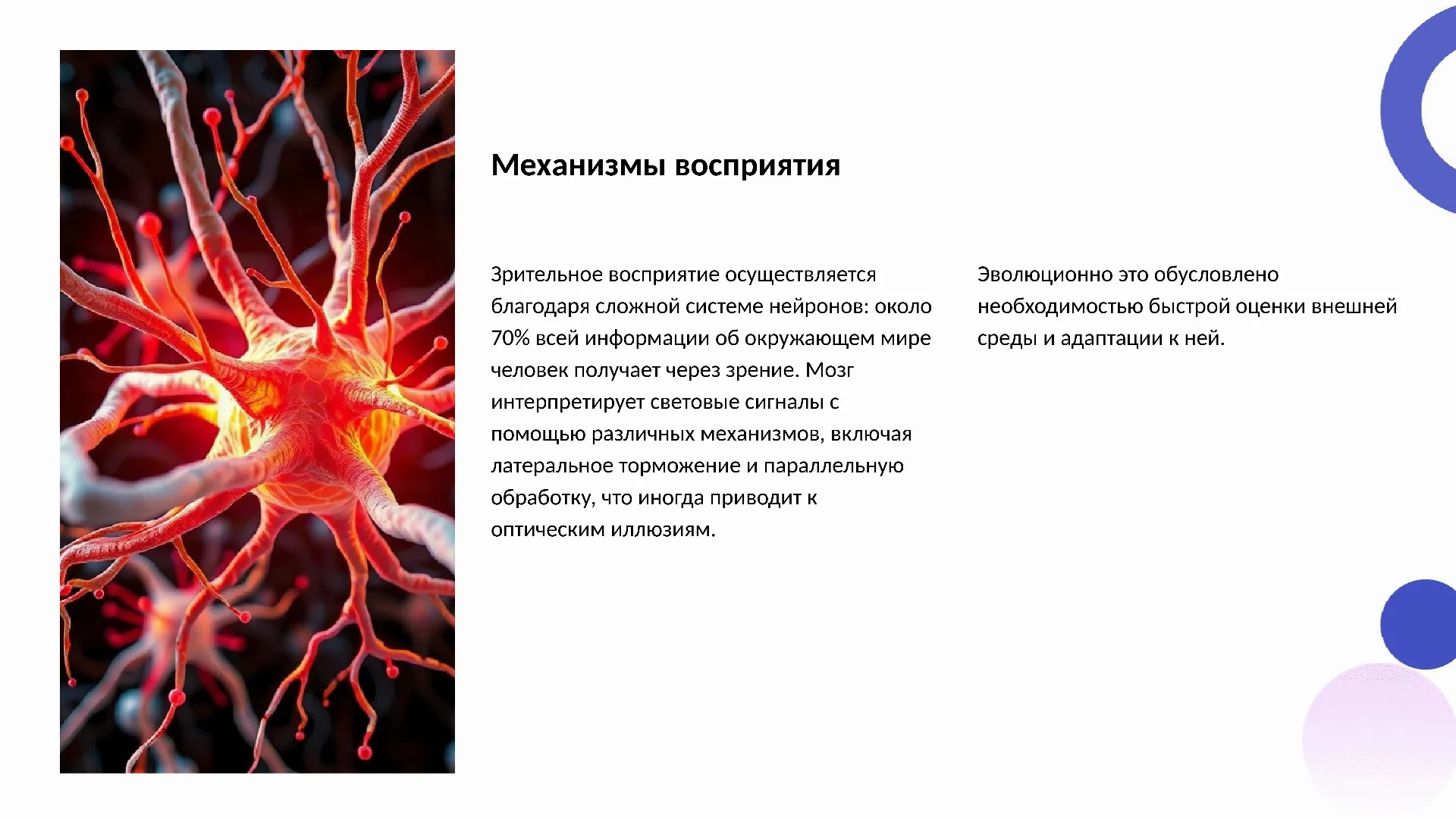 Механизмы восприятия - слайд для презентации на тему 