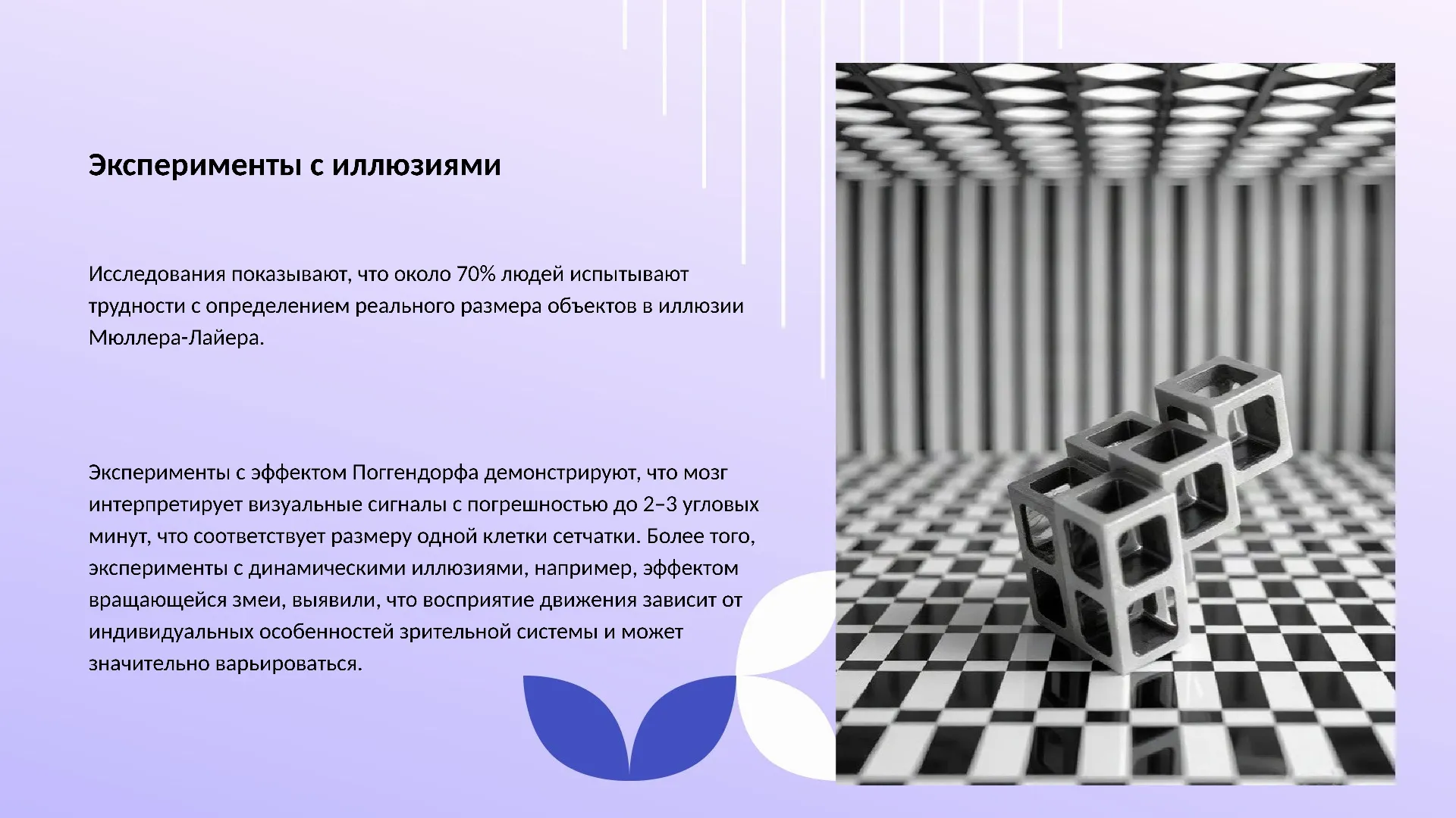 Эксперименты с иллюзиями - слайд для презентации на тему 