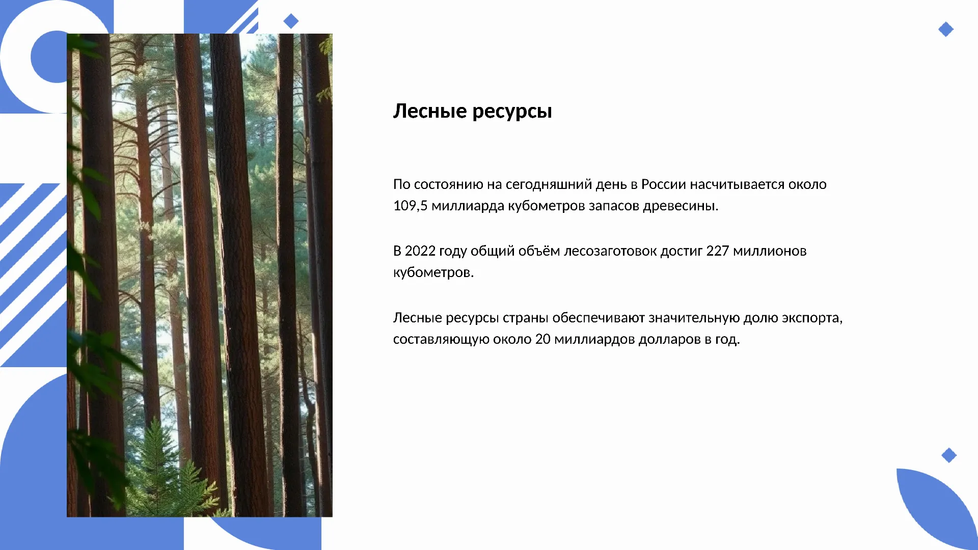 Лесные ресурсы - слайд для презентации на тему 
