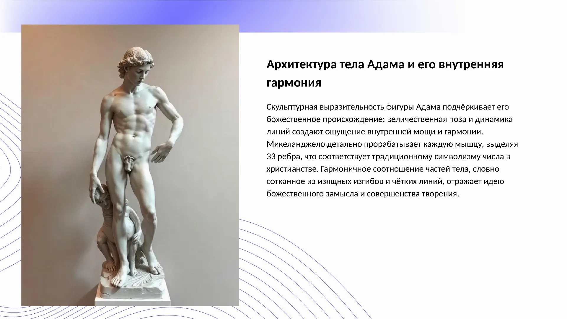 Архитектура тела Адама и его внутренняя гармония - слайд для презентации на тему 