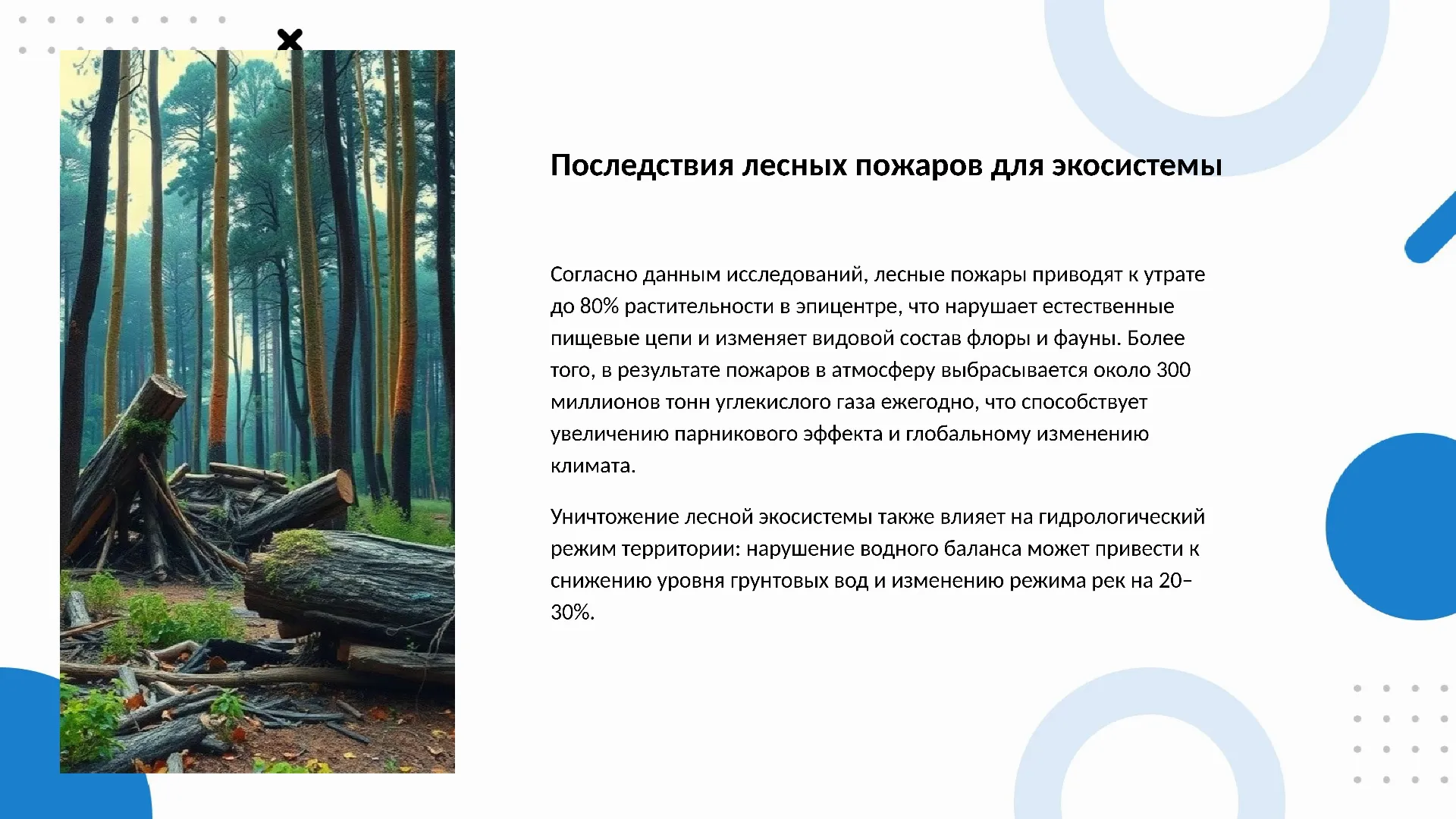 Последствия лесных пожаров для экосистемы - слайд для презентации на тему 