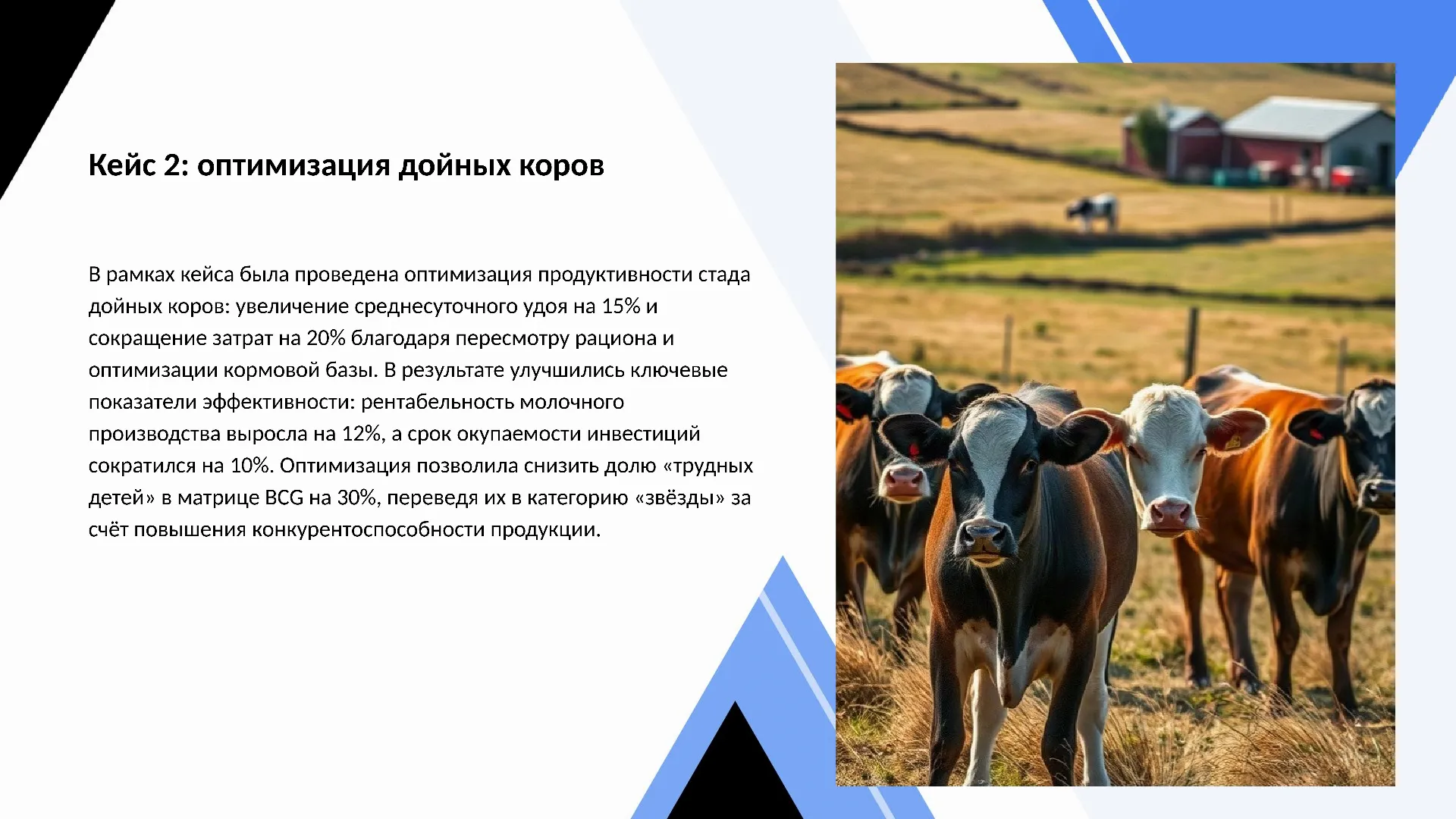 Кейс 2: оптимизация дойных коров - слайд для презентации на тему 