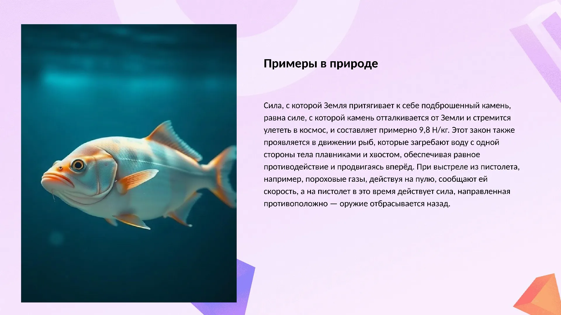 Примеры в природе - слайд для презентации на тему 