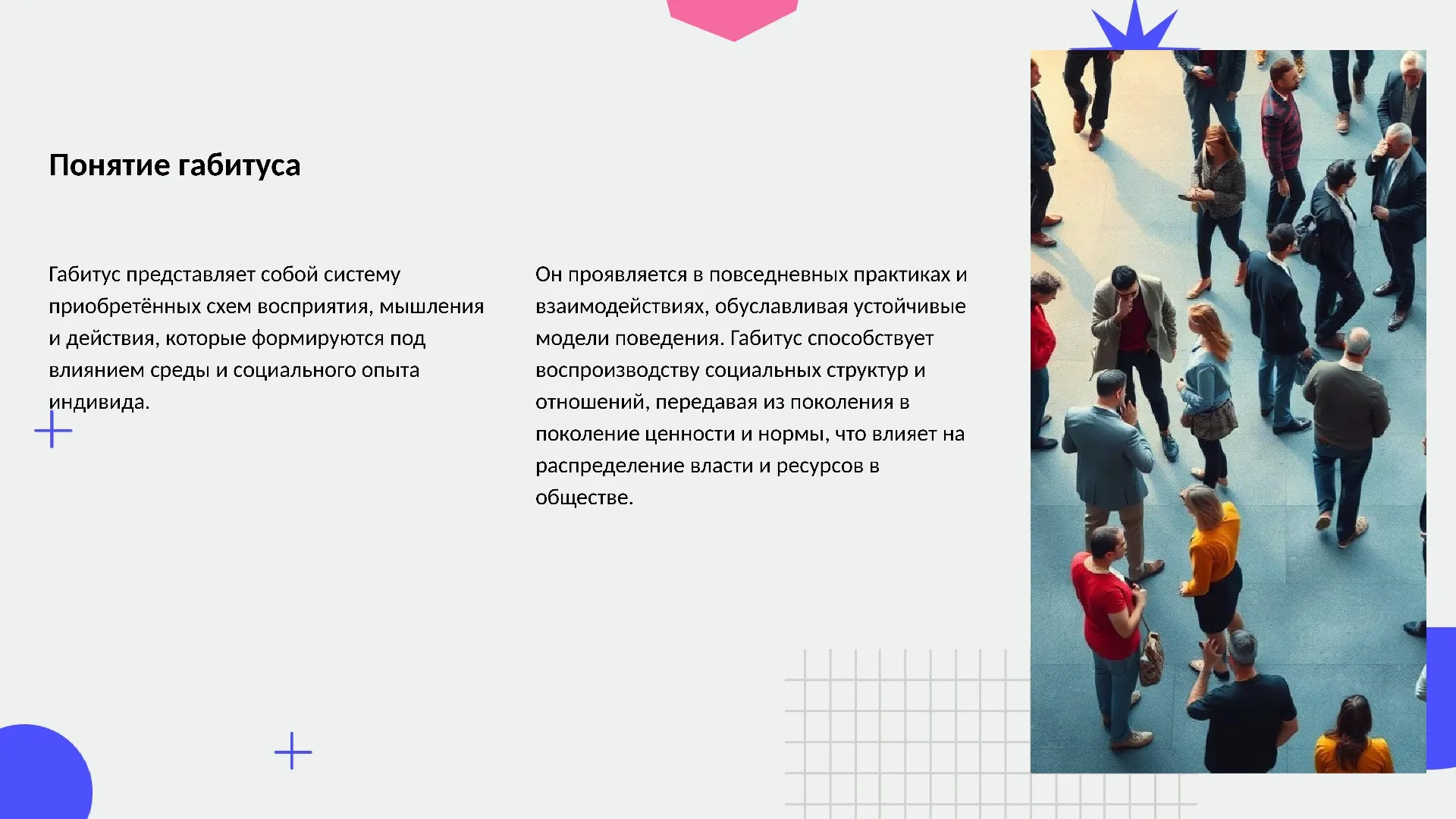 Понятие габитуса - слайд для презентации на тему 