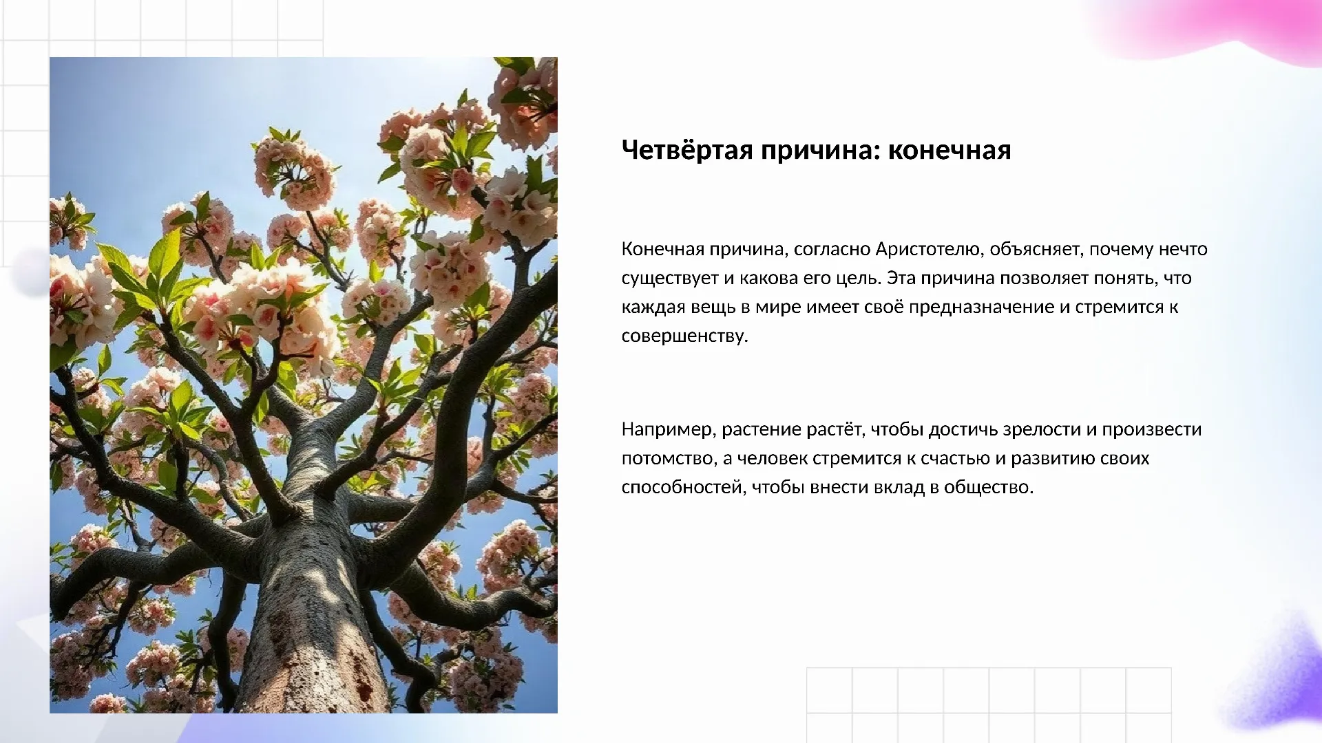 Четвёртая причина: конечная - слайд для презентации на тему 