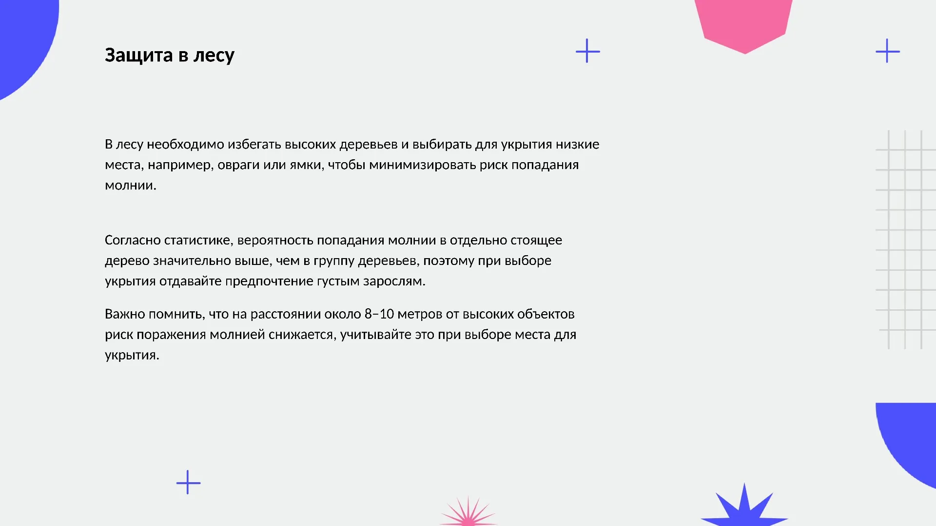 Защита в лесу - слайд для презентации на тему 