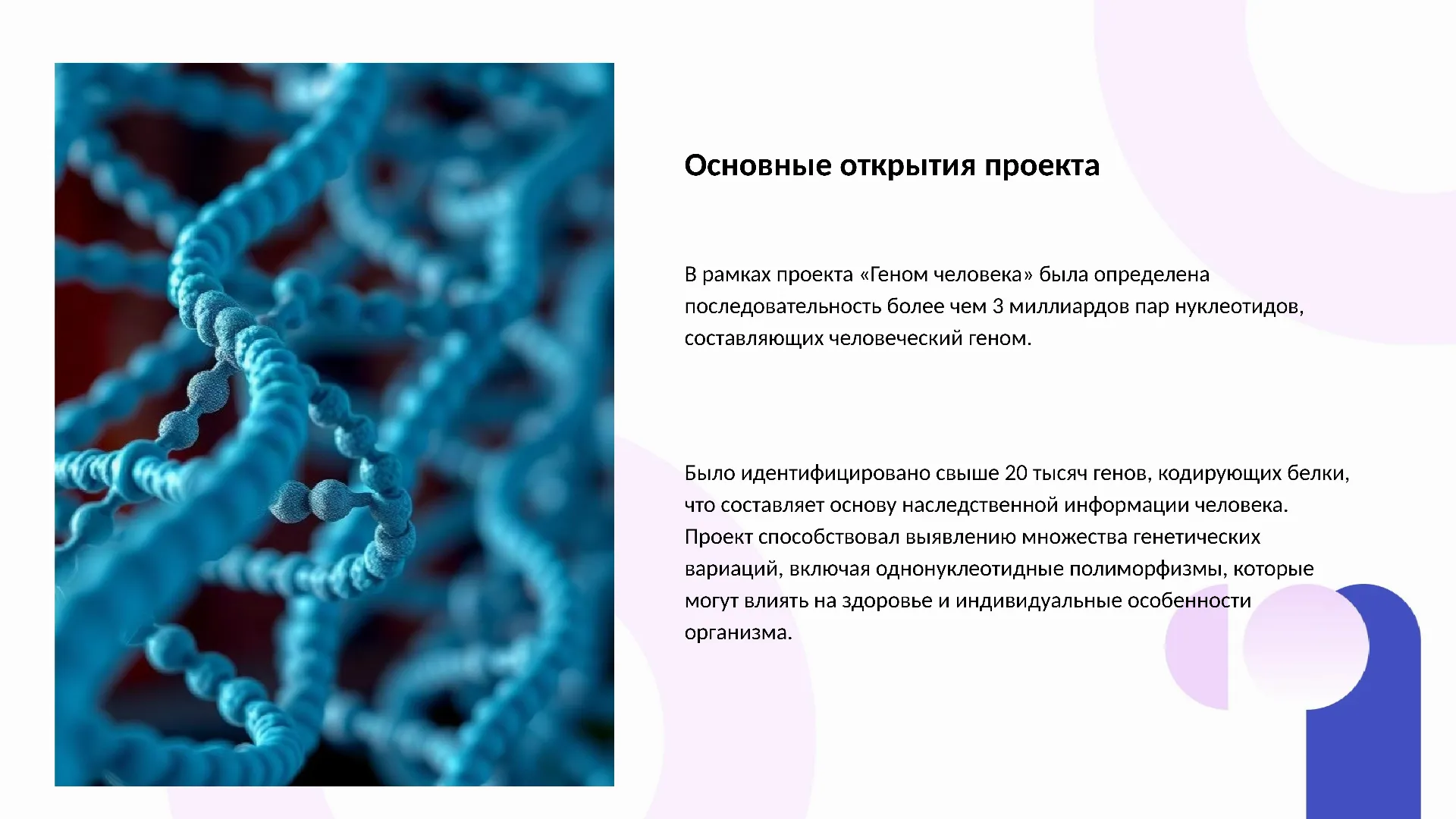 Основные открытия проекта - слайд для презентации на тему 