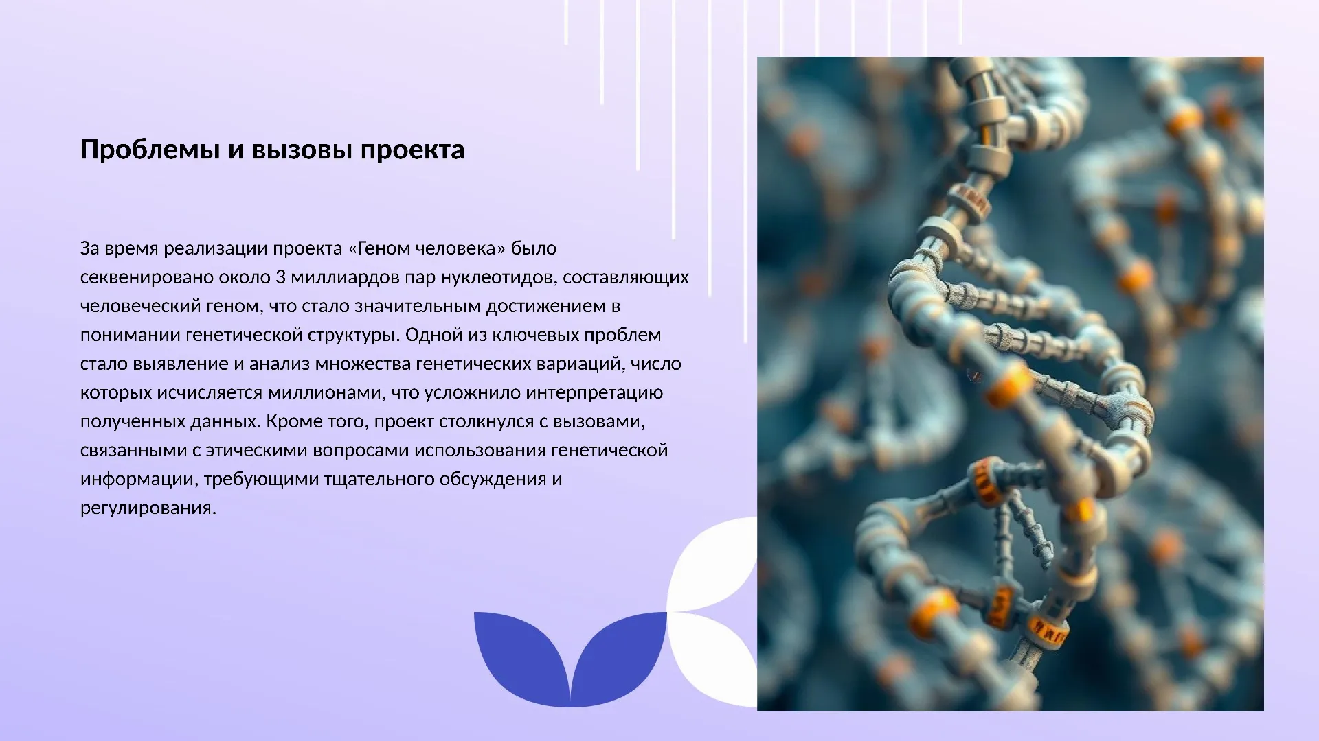Проблемы и вызовы проекта - слайд для презентации на тему 
