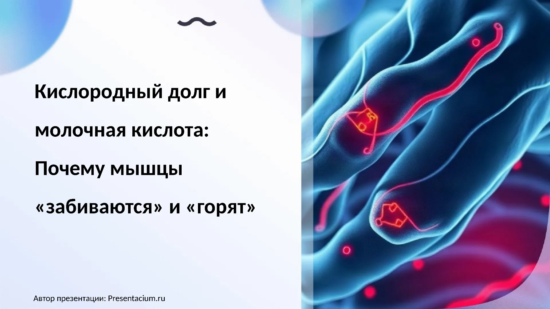 Кислородный долг и молочная кислота: Почему мышцы "забиваются" и "горят".