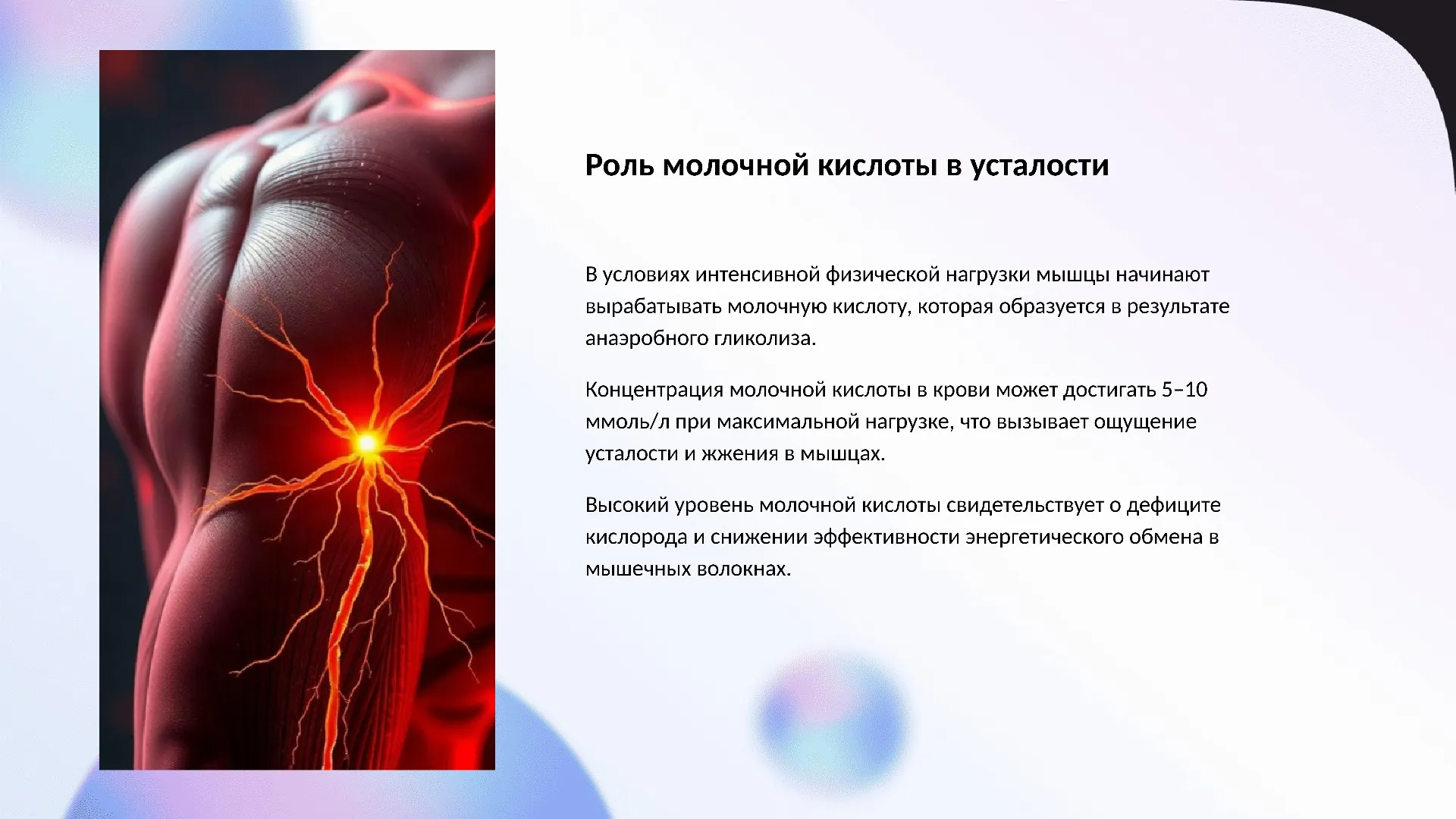 Роль молочной кислоты в усталости - слайд для презентации на тему 
