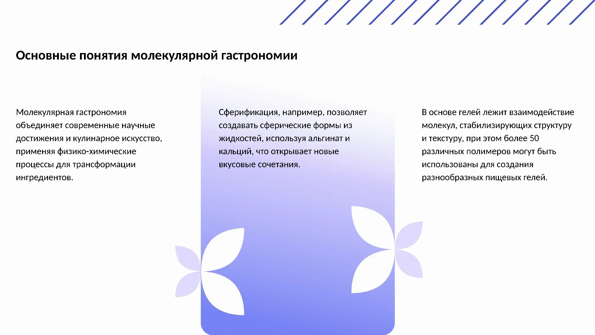 Основные понятия молекулярной гастрономии - слайд для презентации на тему 