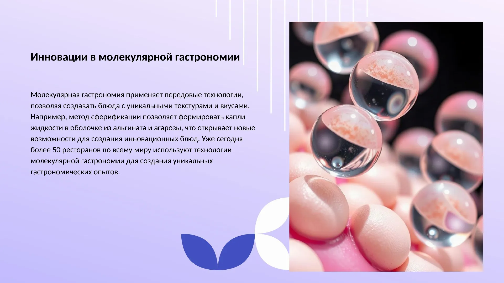 Инновации в молекулярной гастрономии - слайд для презентации на тему 