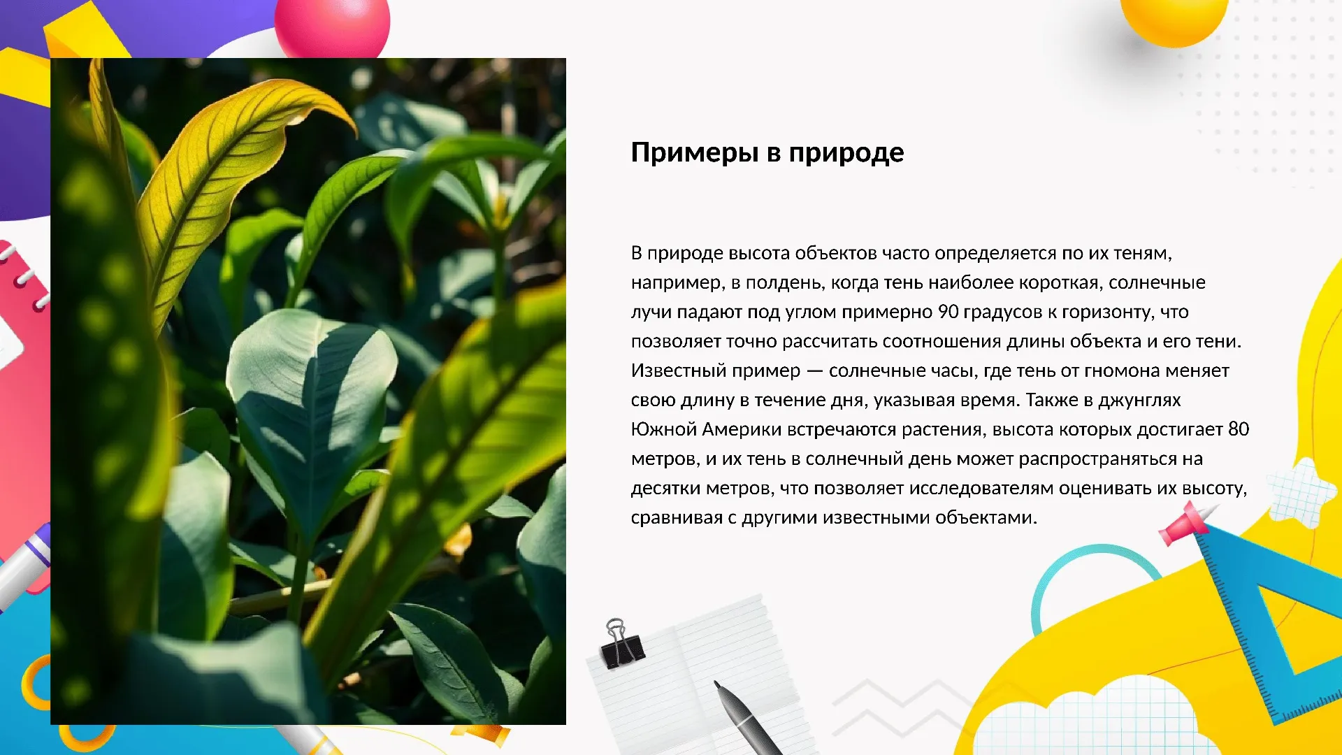 Примеры в природе - слайд для презентации на тему 