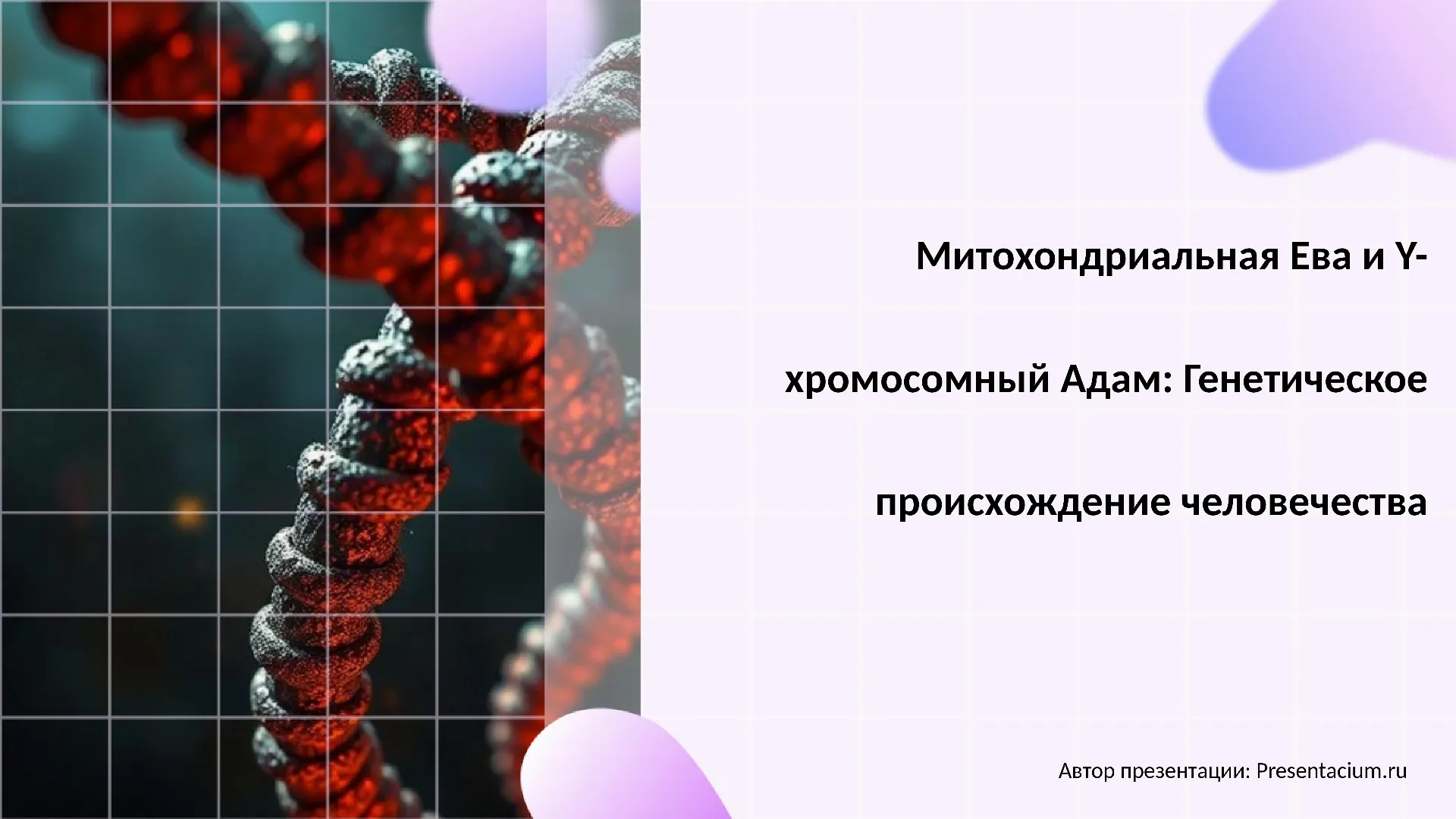 Митохондриальная Ева и Y-хромосомный Адам: Генетическое происхождение человечества.