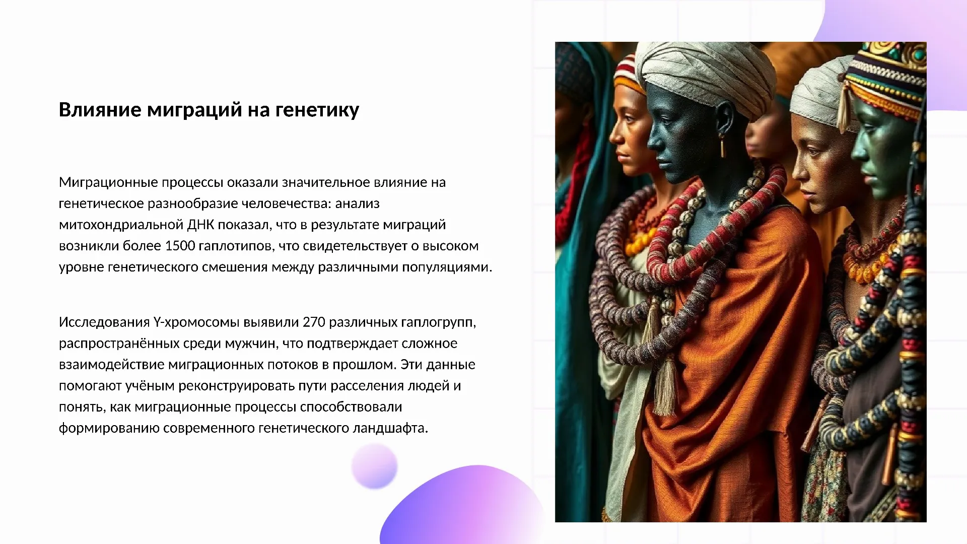 Влияние миграций на генетику - слайд для презентации на тему 