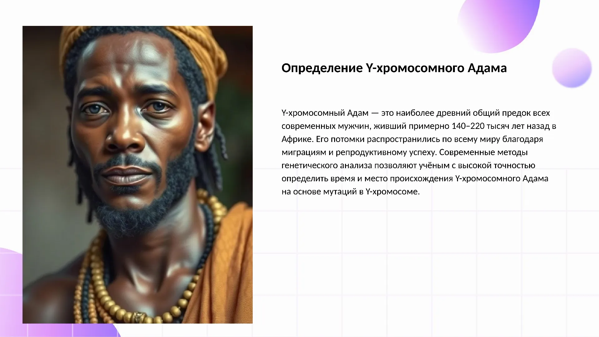 Определение Y-хромосомного Адама - слайд для презентации на тему 