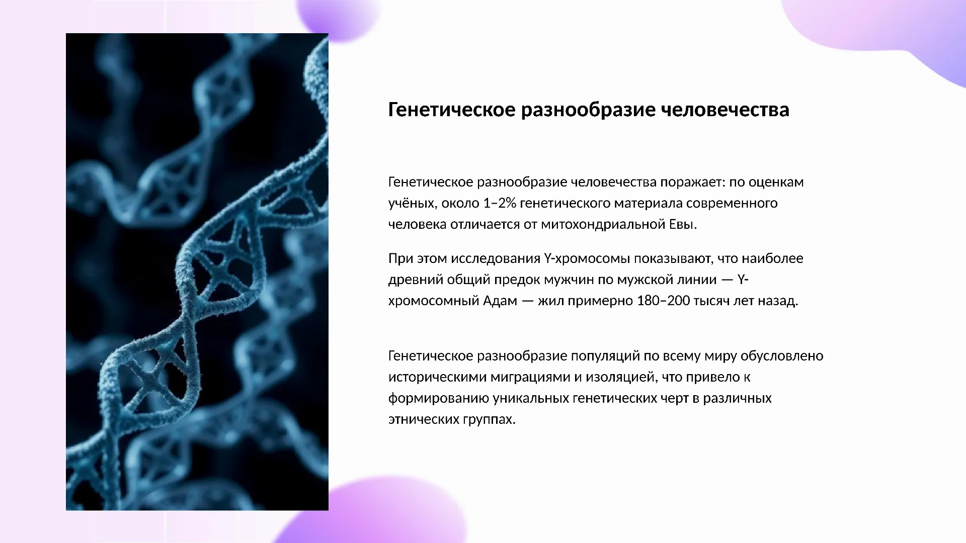Генетическое разнообразие человечества - слайд для презентации на тему 