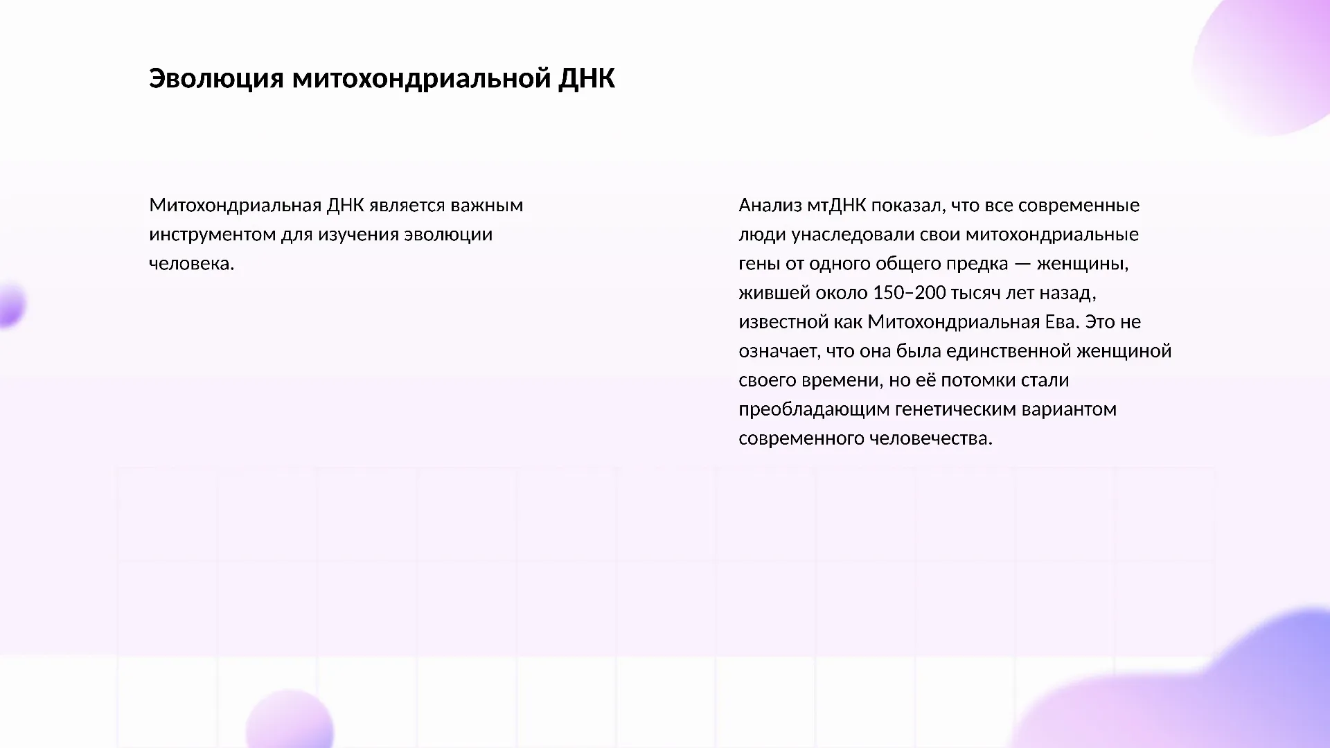 Эволюция митохондриальной ДНК - слайд для презентации на тему 