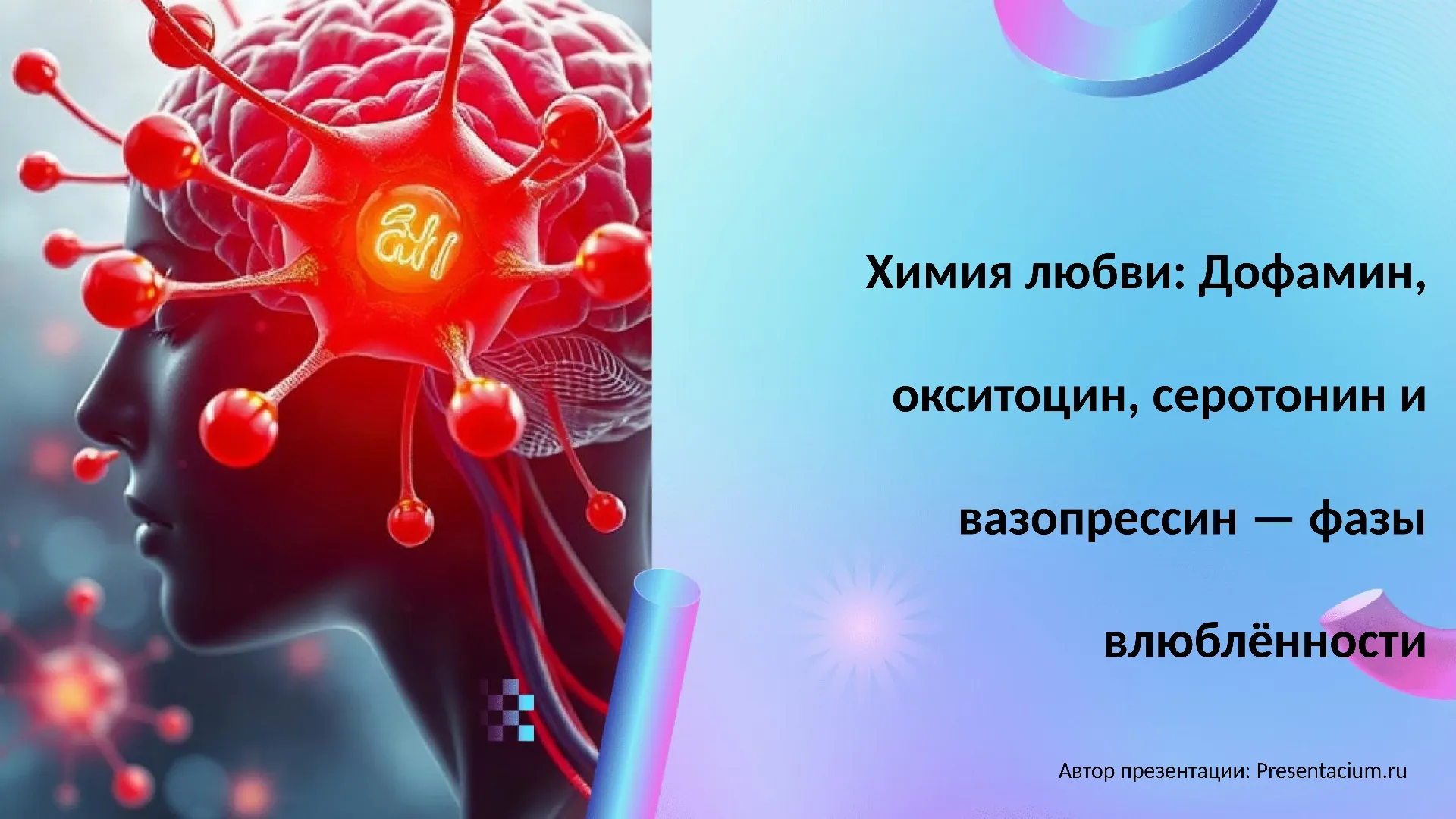 Химия любви: Дофамин, окситоцин, серотонин и вазопрессин — фазы влюбленности.