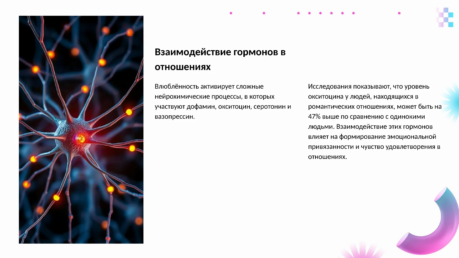 Взаимодействие гормонов в отношениях - слайд для презентации на тему 