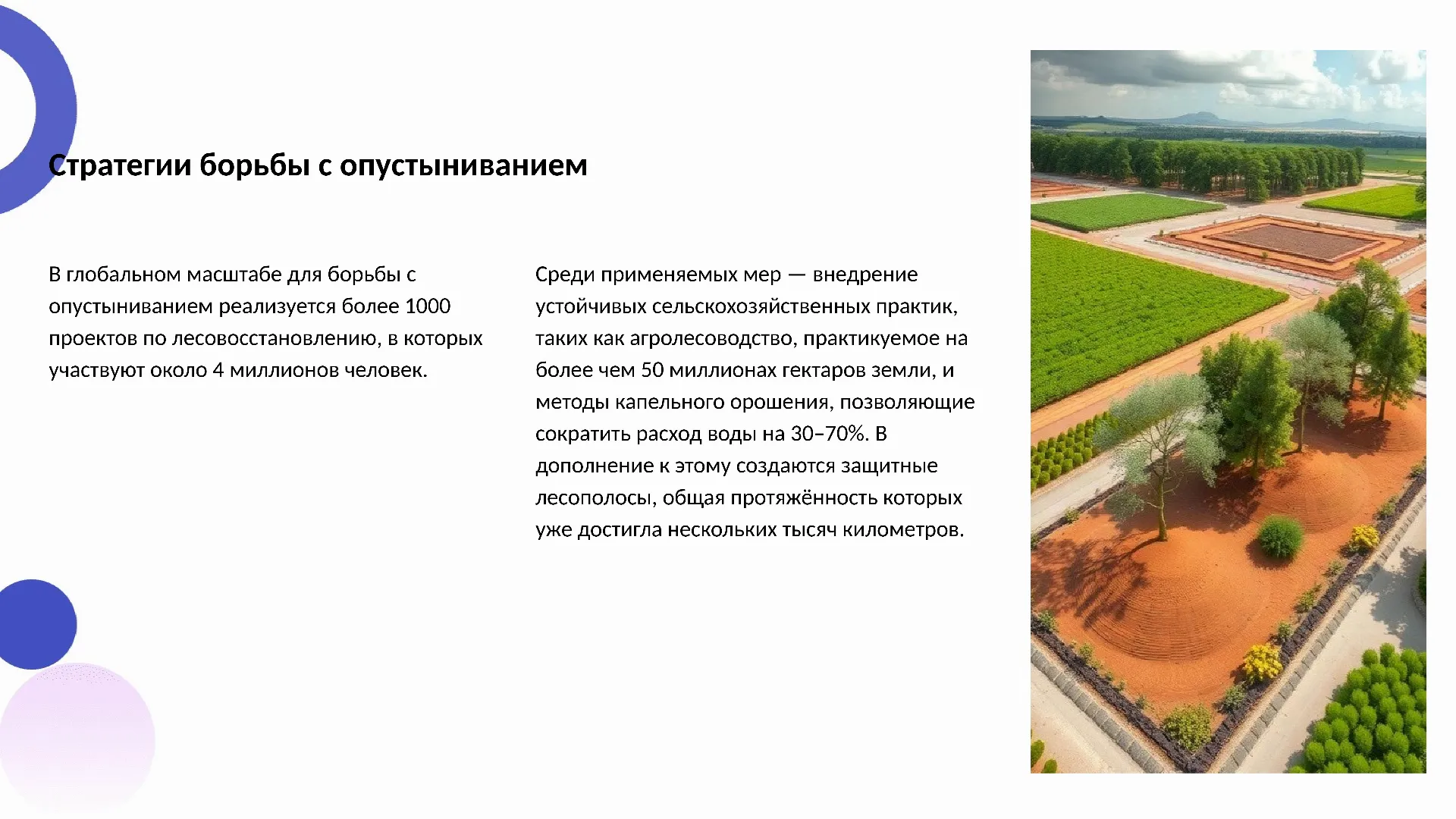 Стратегии борьбы с опустыниванием - слайд для презентации на тему 