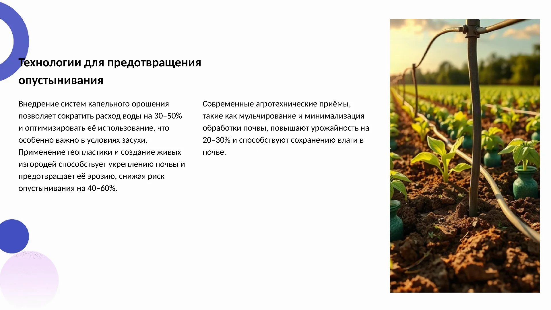 Технологии для предотвращения опустынивания - слайд для презентации на тему 