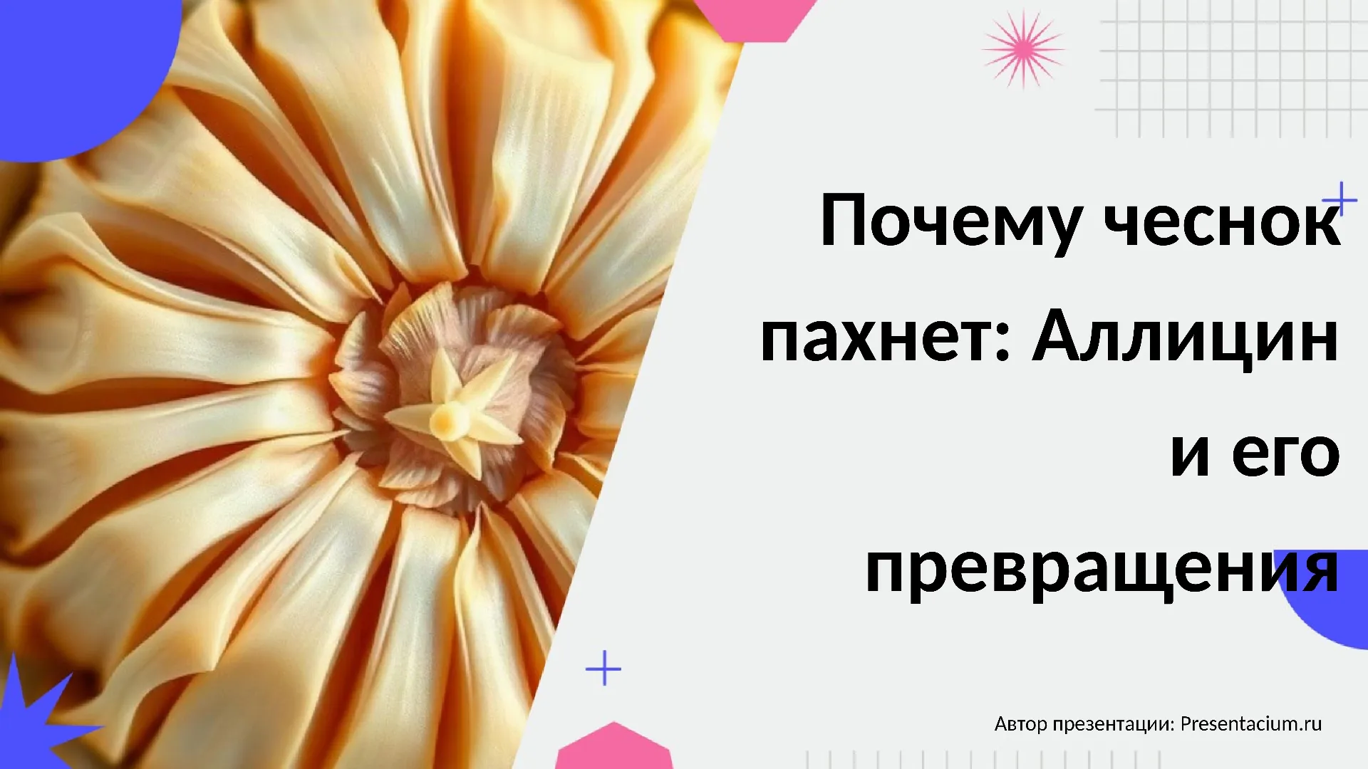 Почему чеснок пахнет: Аллицин и его превращения.