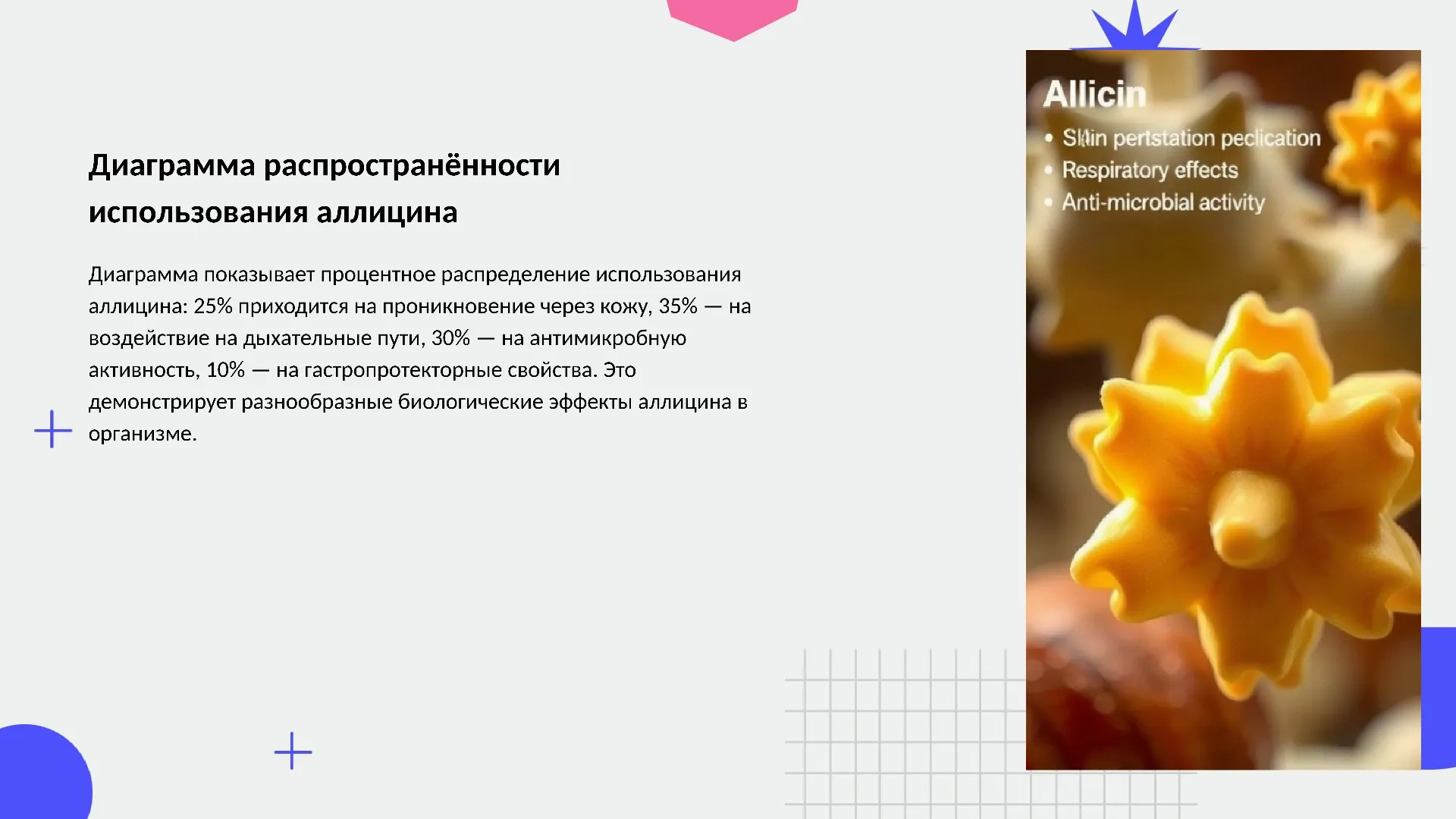 Диаграмма распространённости использования аллицина - слайд для презентации на тему 