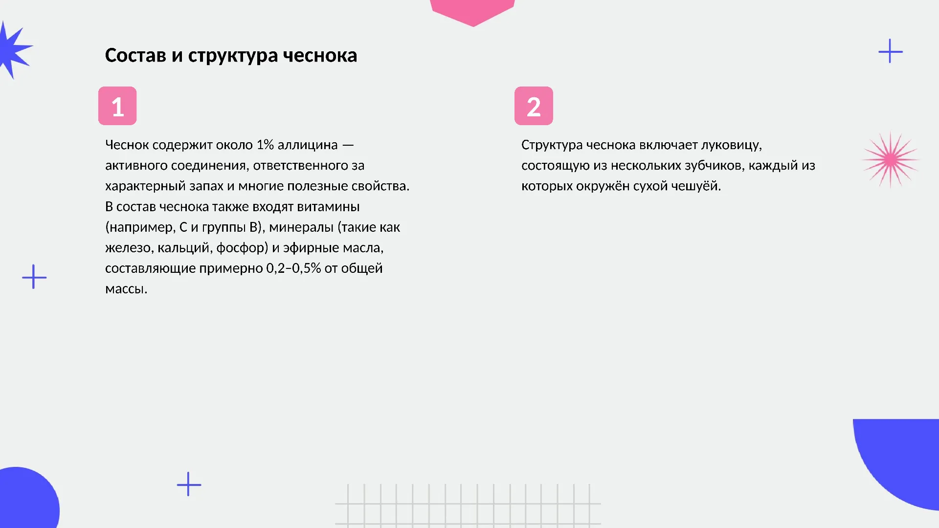 Состав и структура чеснока - слайд для презентации на тему 