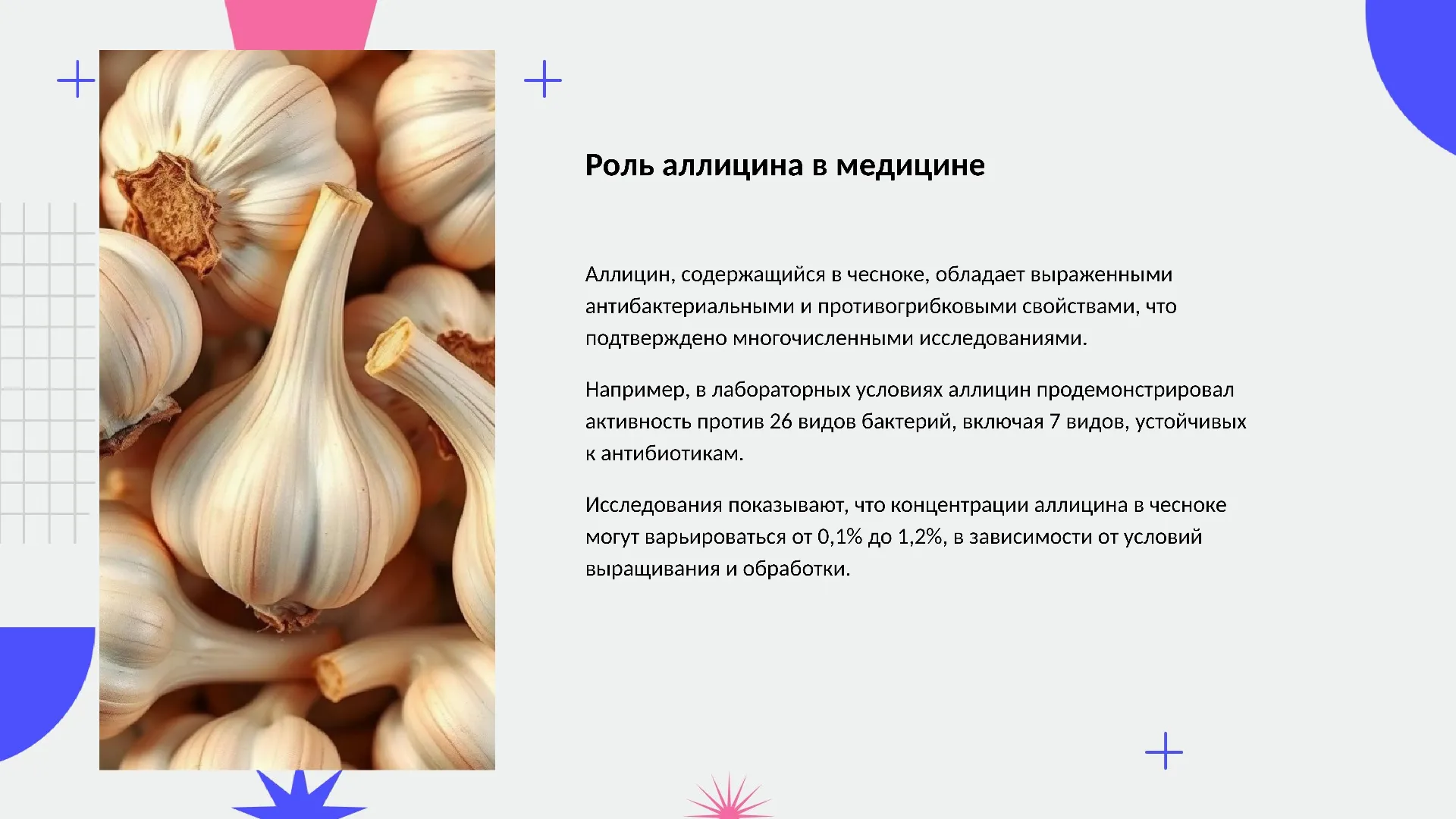 Роль аллицина в медицине - слайд для презентации на тему 