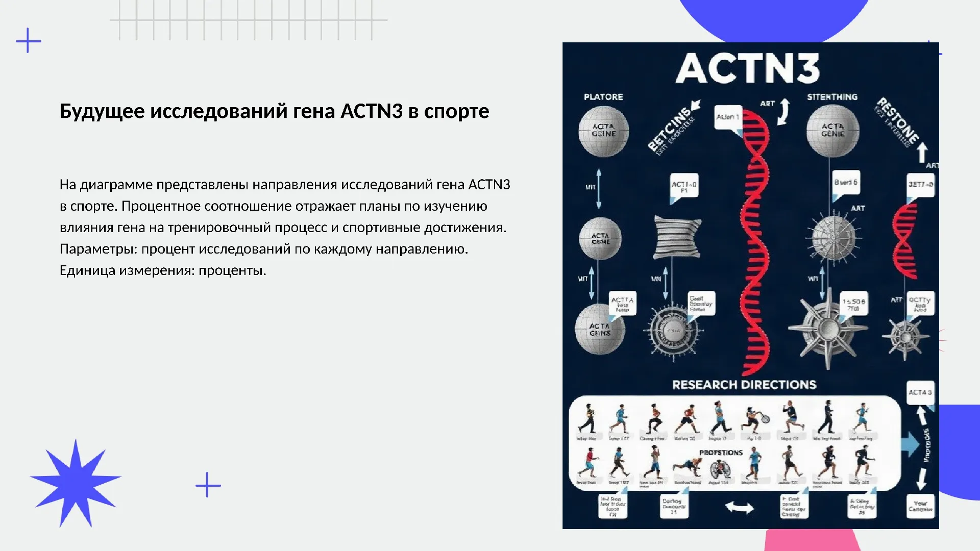 Будущее исследований гена ACTN3 в спорте - слайд для презентации на тему 