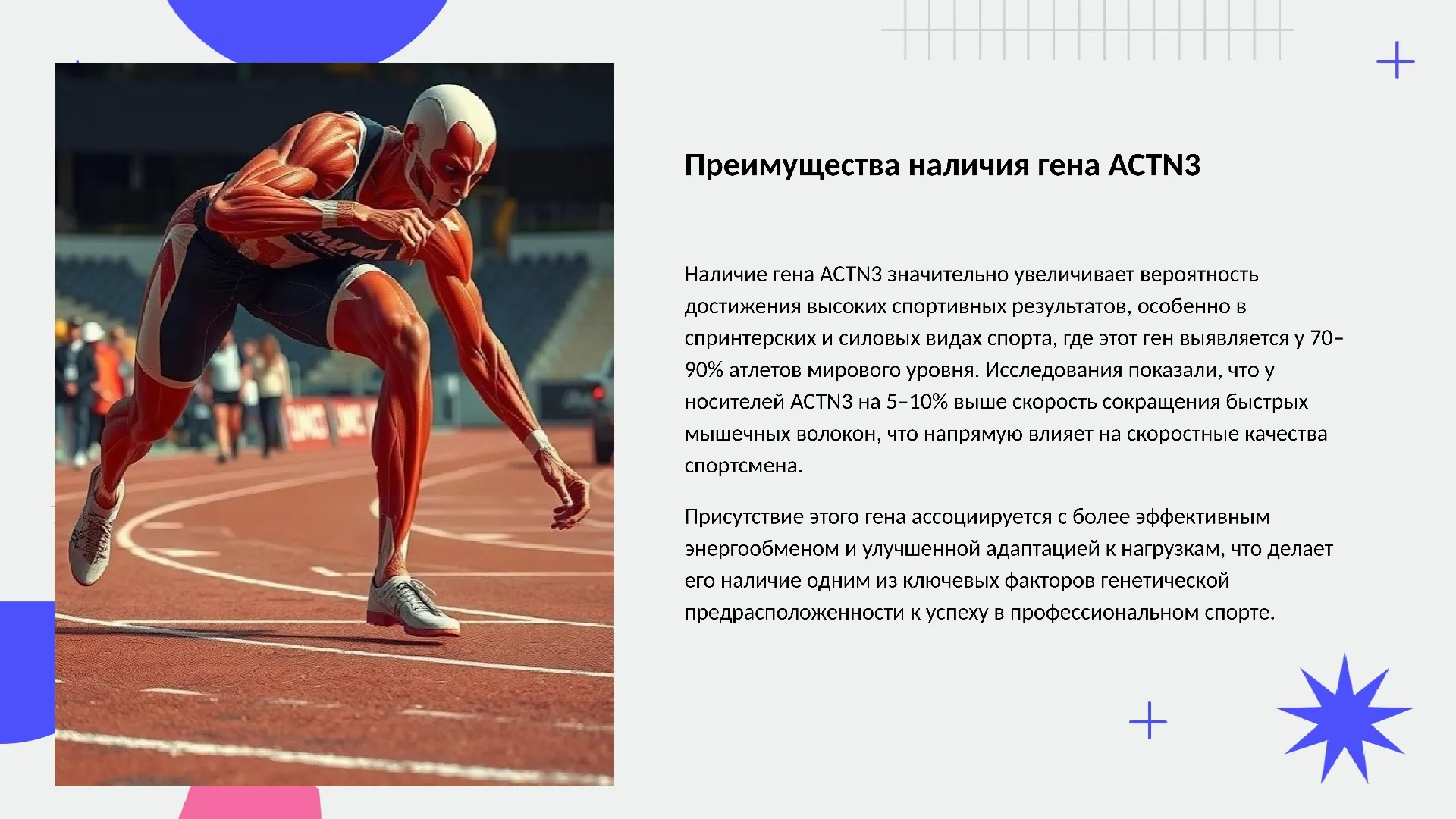 Преимущества наличия гена ACTN3 - слайд для презентации на тему 