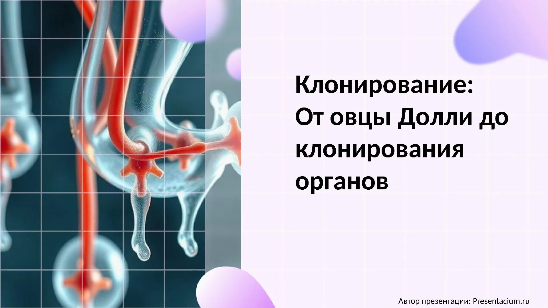 Клонирование: От овцы Долли до клонирования органов.