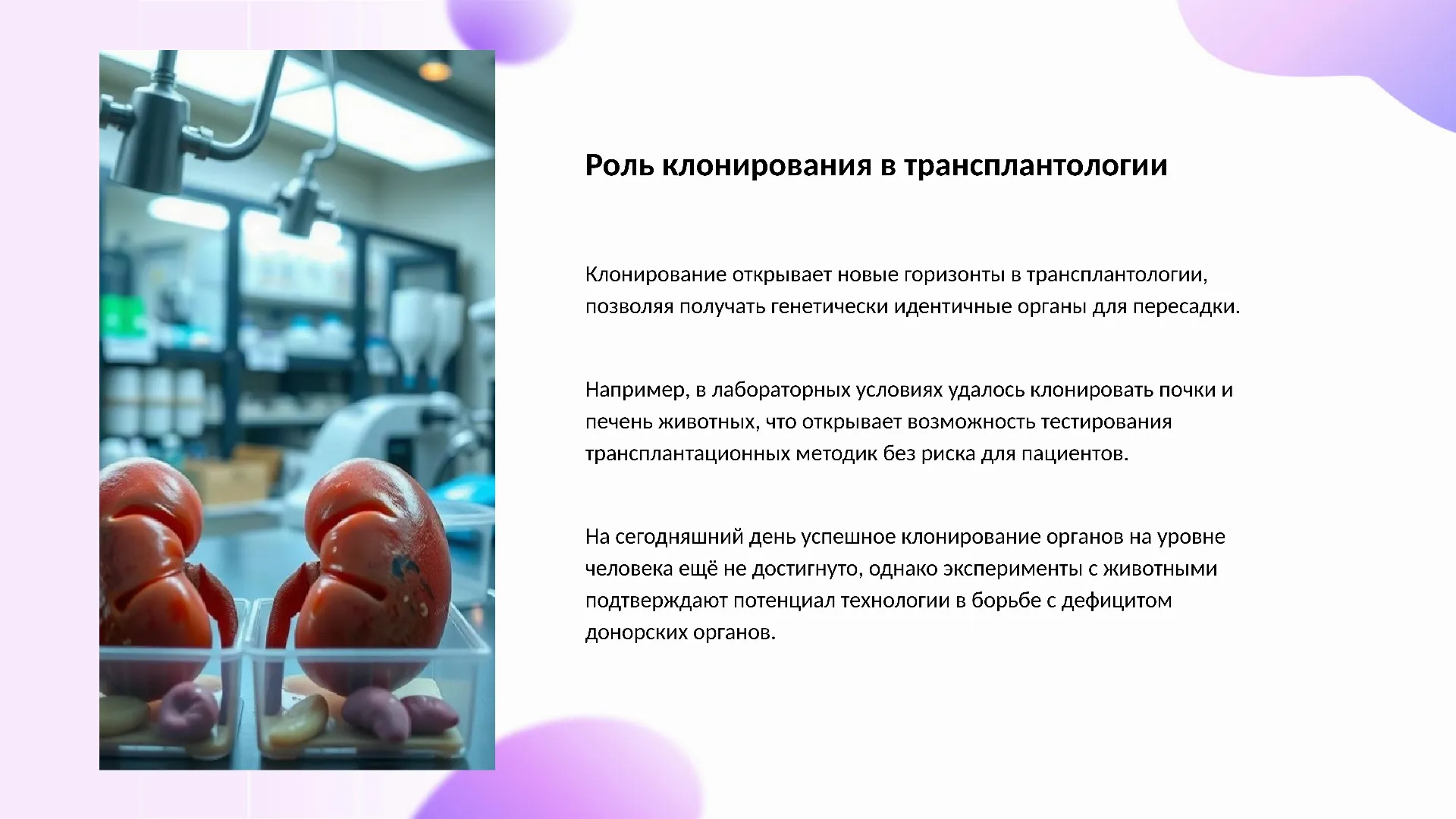 Роль клонирования в трансплантологии - слайд для презентации на тему 
