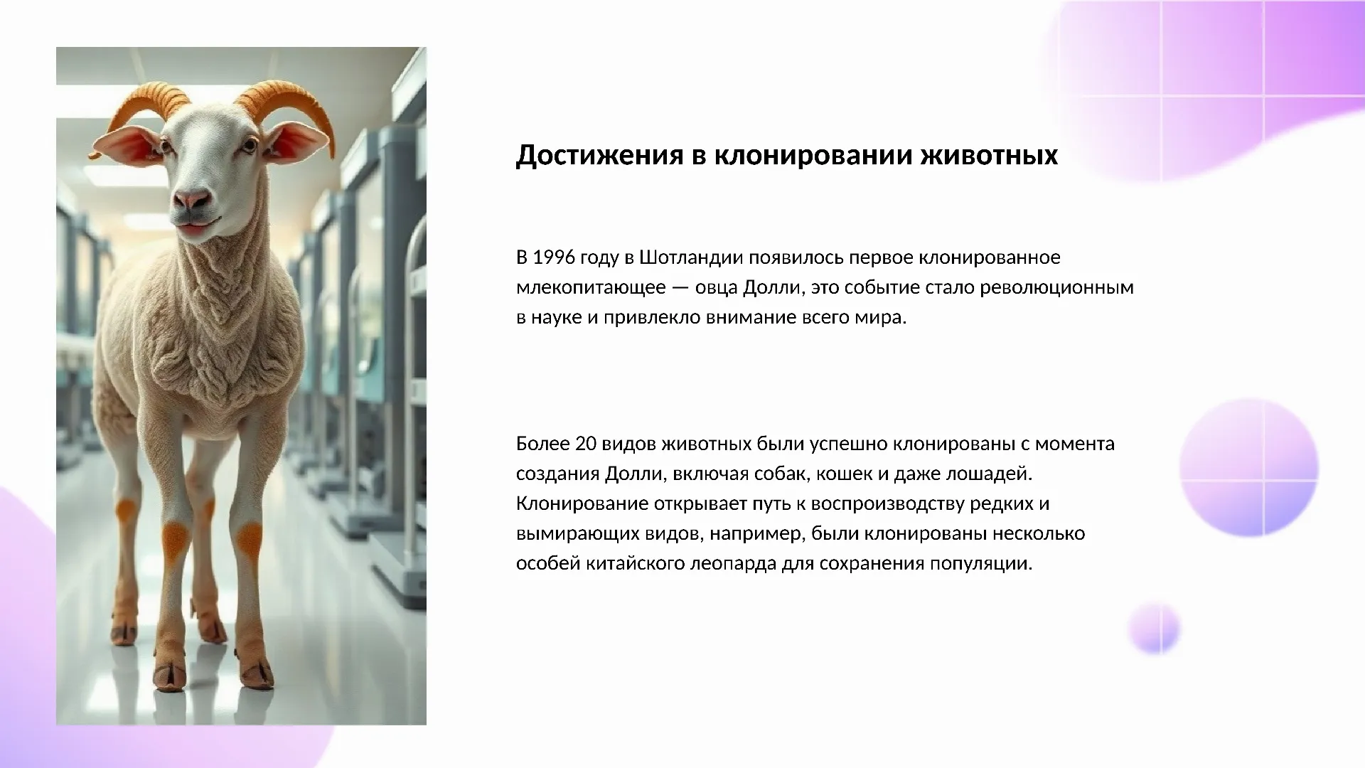 Достижения в клонировании животных - слайд для презентации на тему 