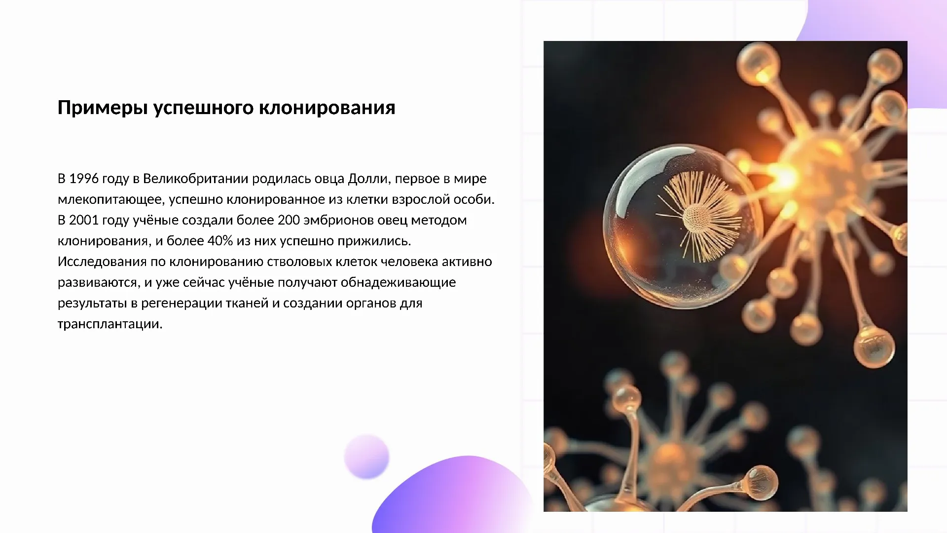 Примеры успешного клонирования - слайд для презентации на тему 