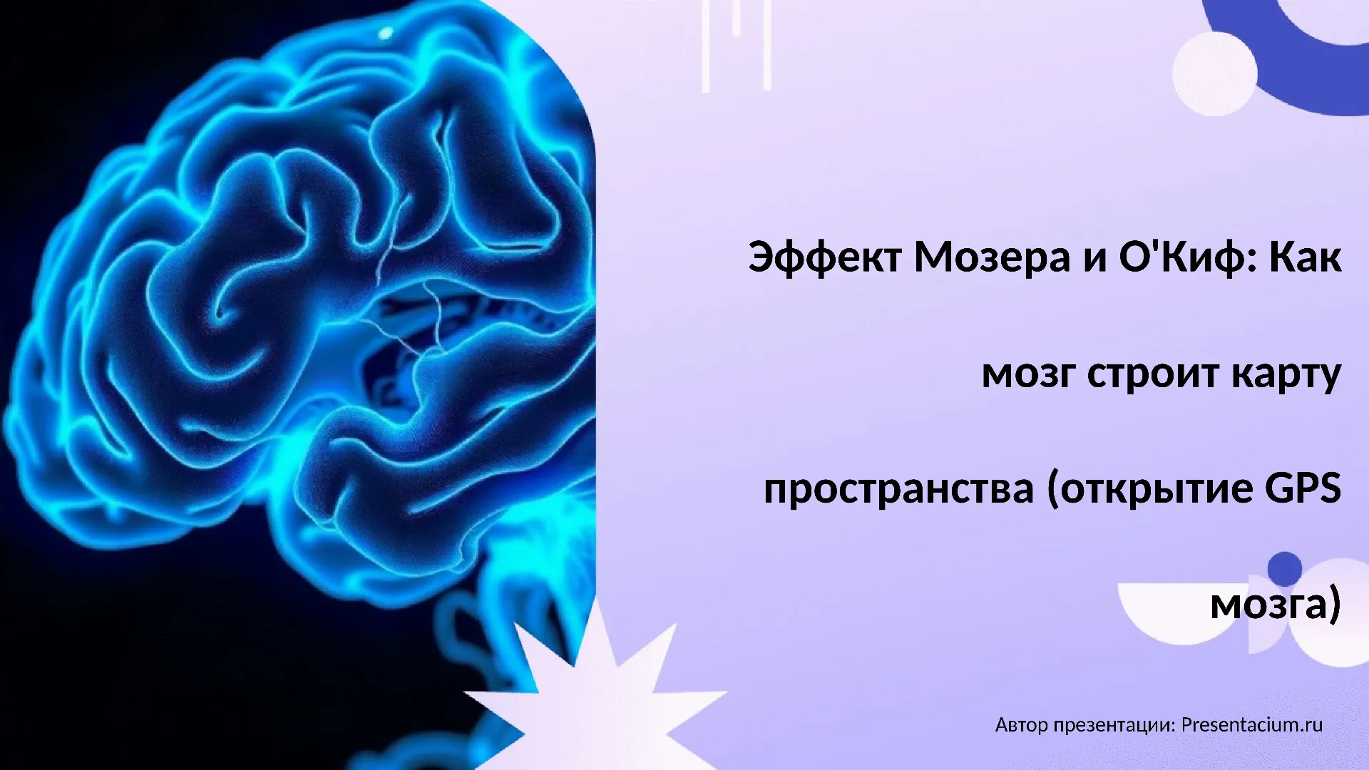 Эффект Мозера и О'Киф: Как мозг строит карту пространства (открытие GPS мозга).