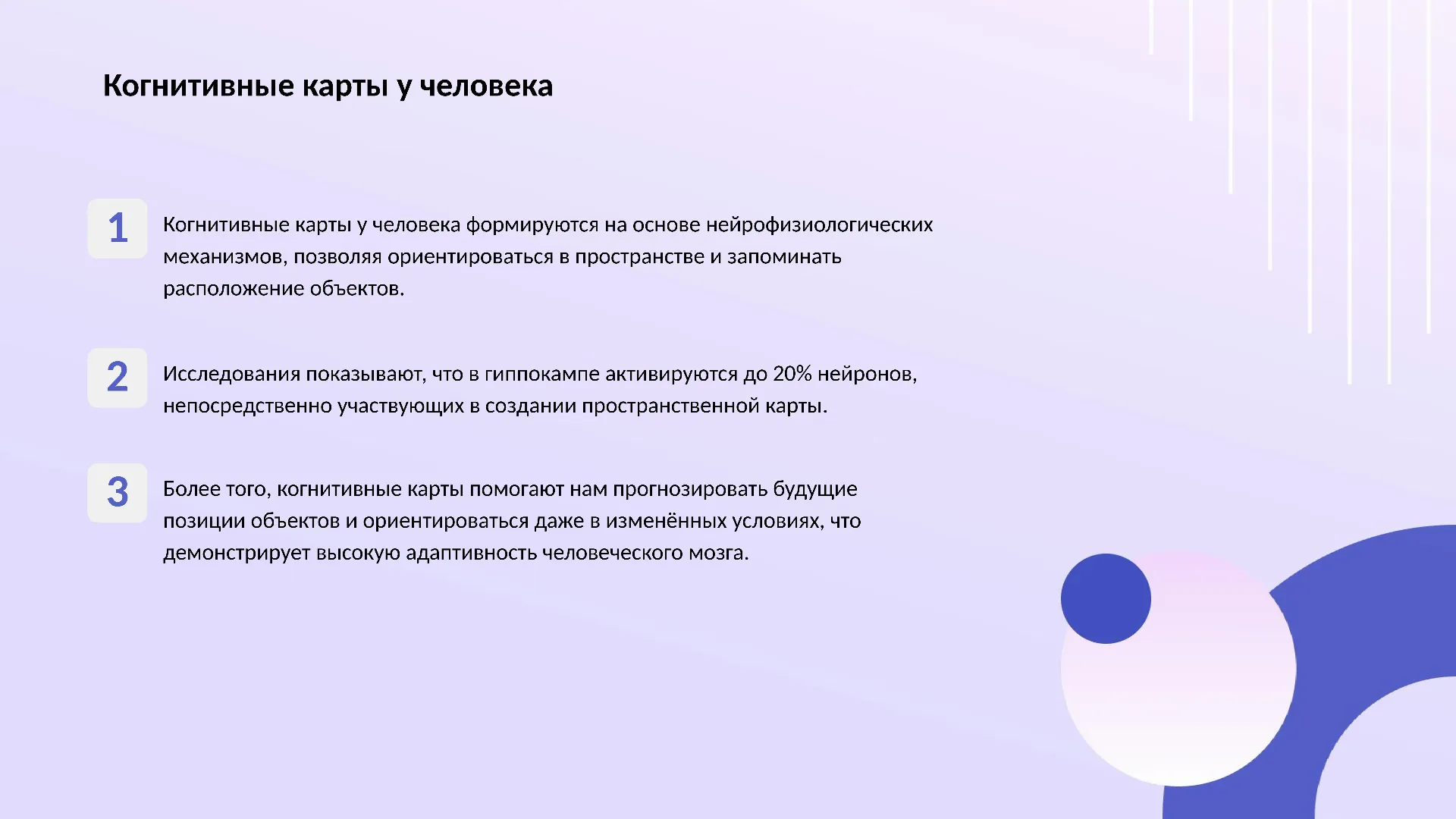 Когнитивные карты у человека - слайд для презентации на тему 