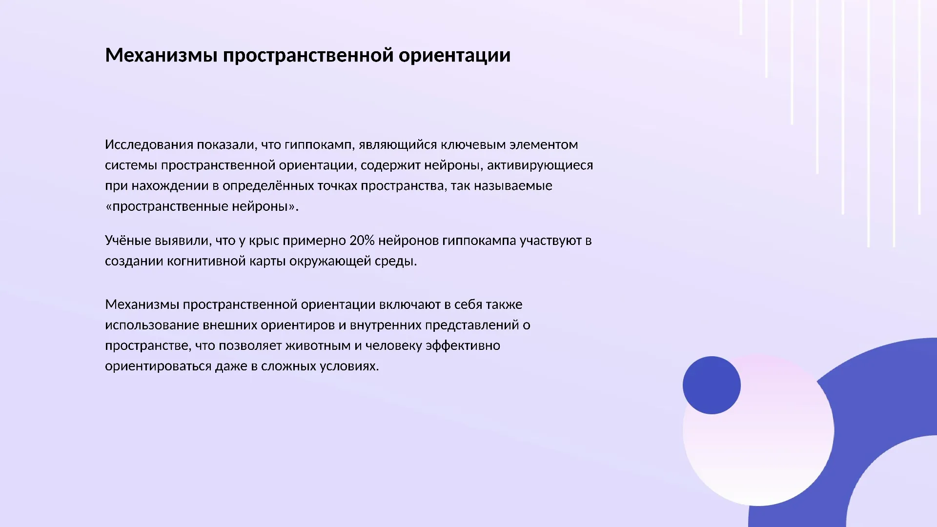 Механизмы пространственной ориентации - слайд для презентации на тему 