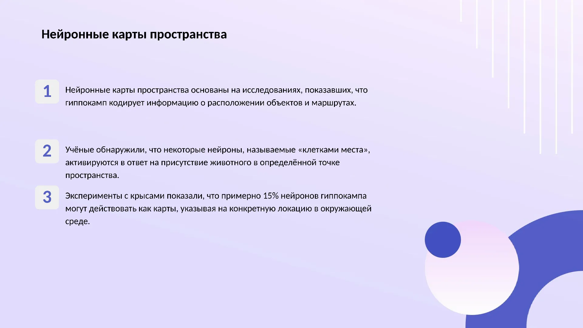 Нейронные карты пространства - слайд для презентации на тему 
